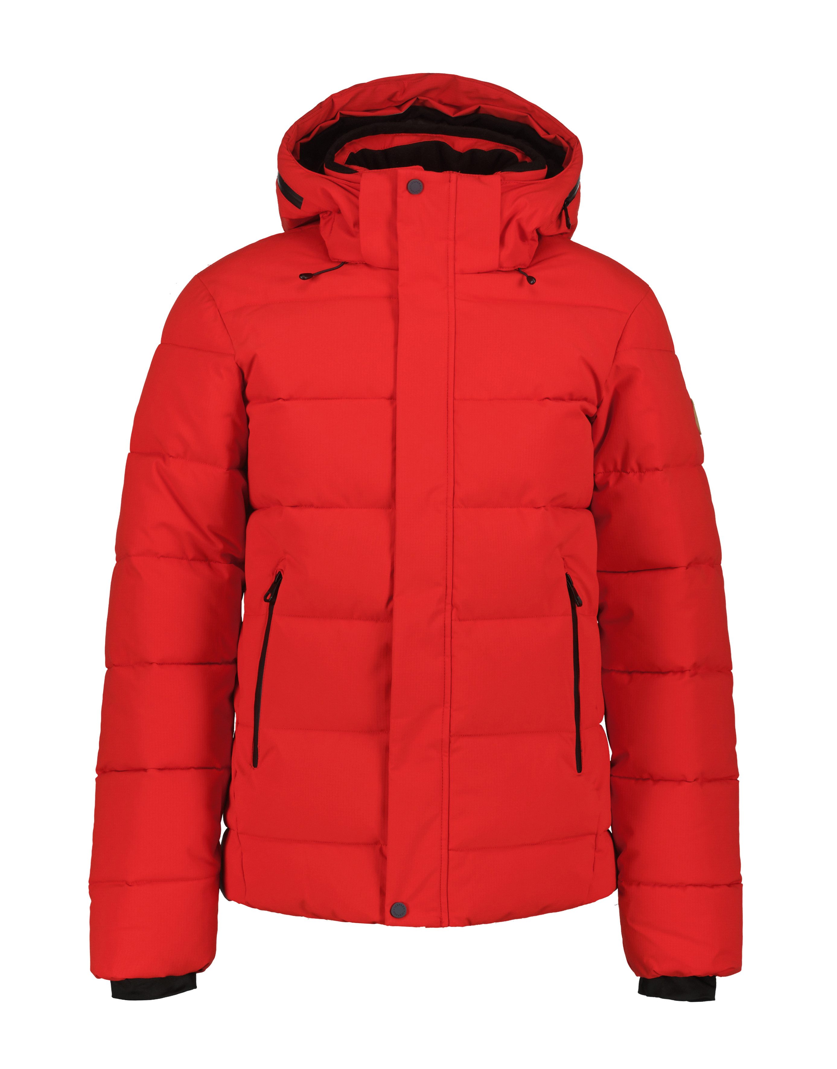 Icepeak Gewatteerde jas H STEPPJACKE BIXBY (1 stuk)