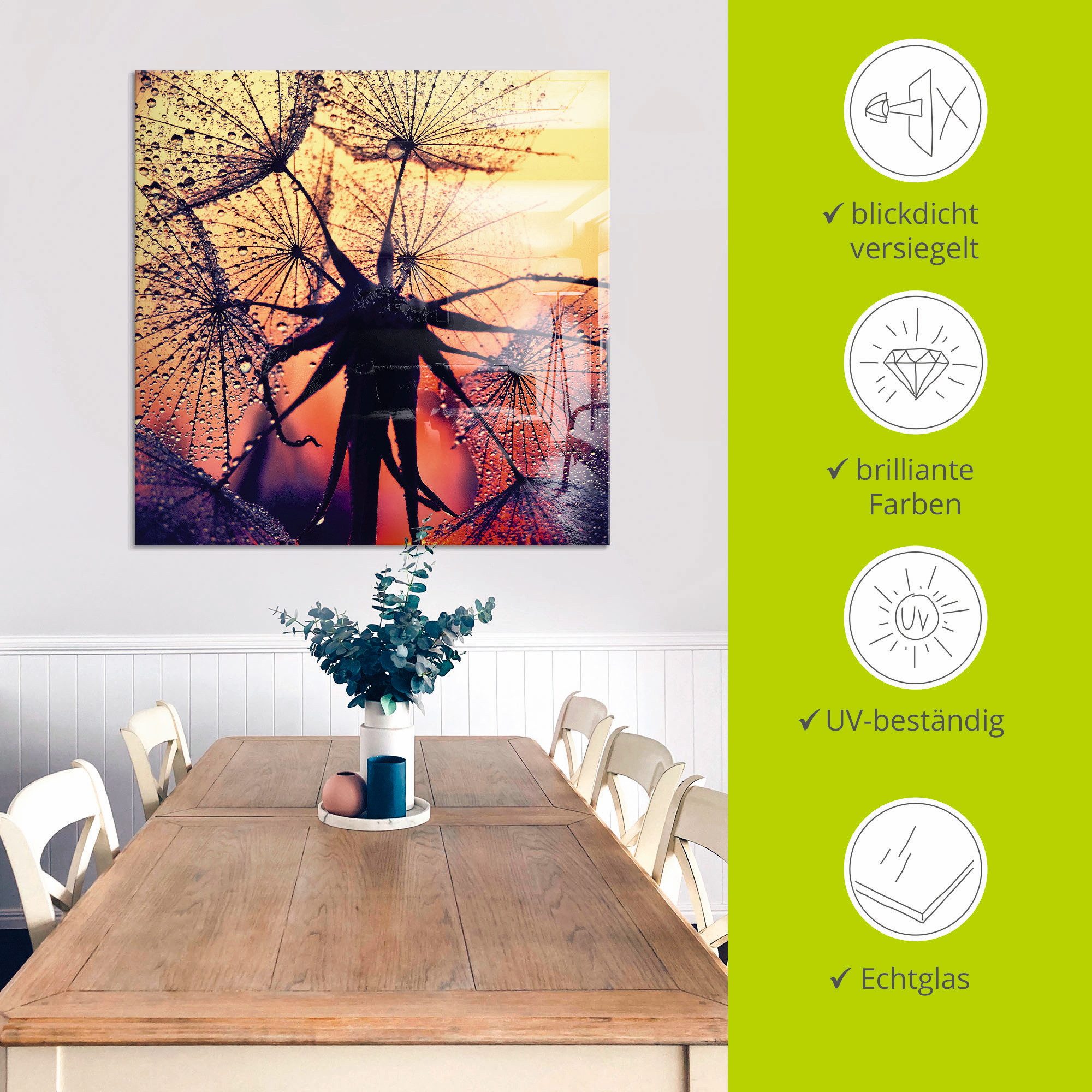 Artland Print op glas Pluizenbol bij zonsondergang