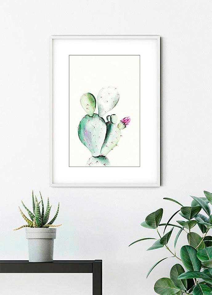 Komar Wanddecoratie Prickly Pear Watercolor Wanddecoratie - zonder lijst (1 stuk)