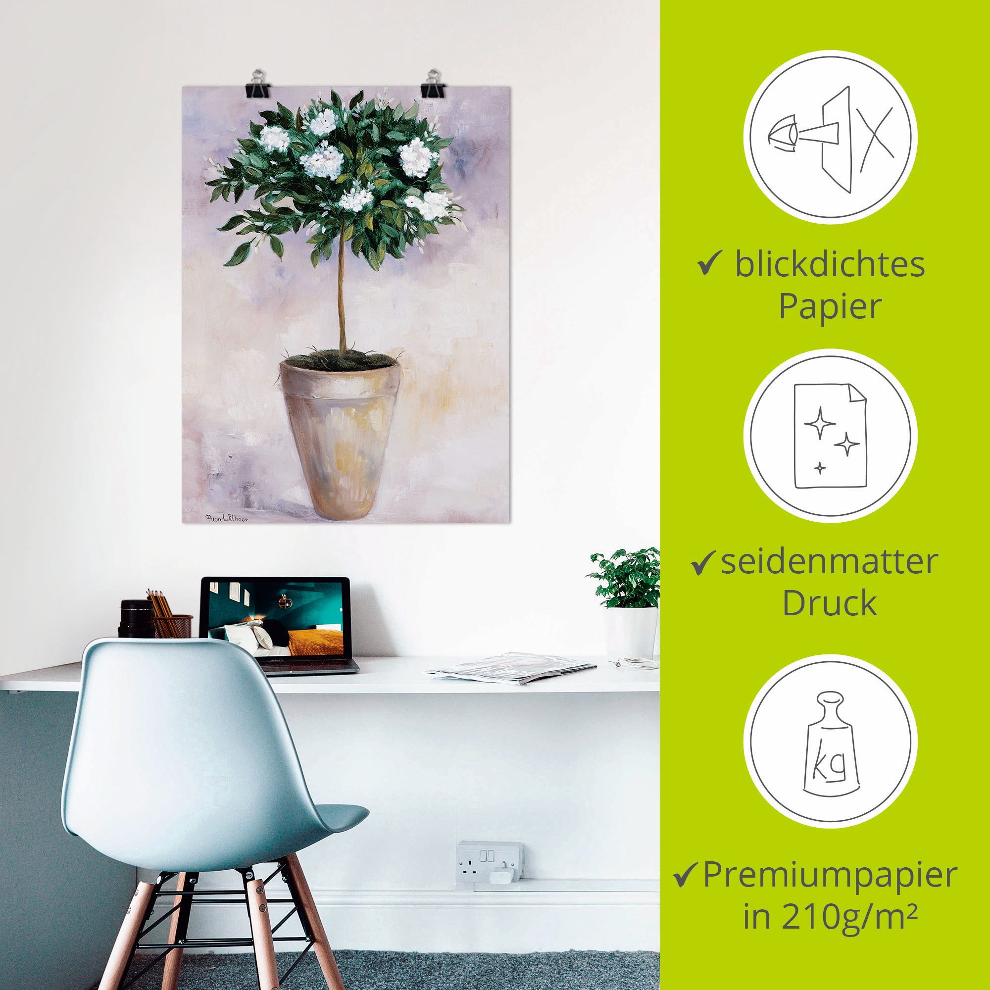 Artland Artprint Winter jasmijn als poster, muursticker in verschillende maten