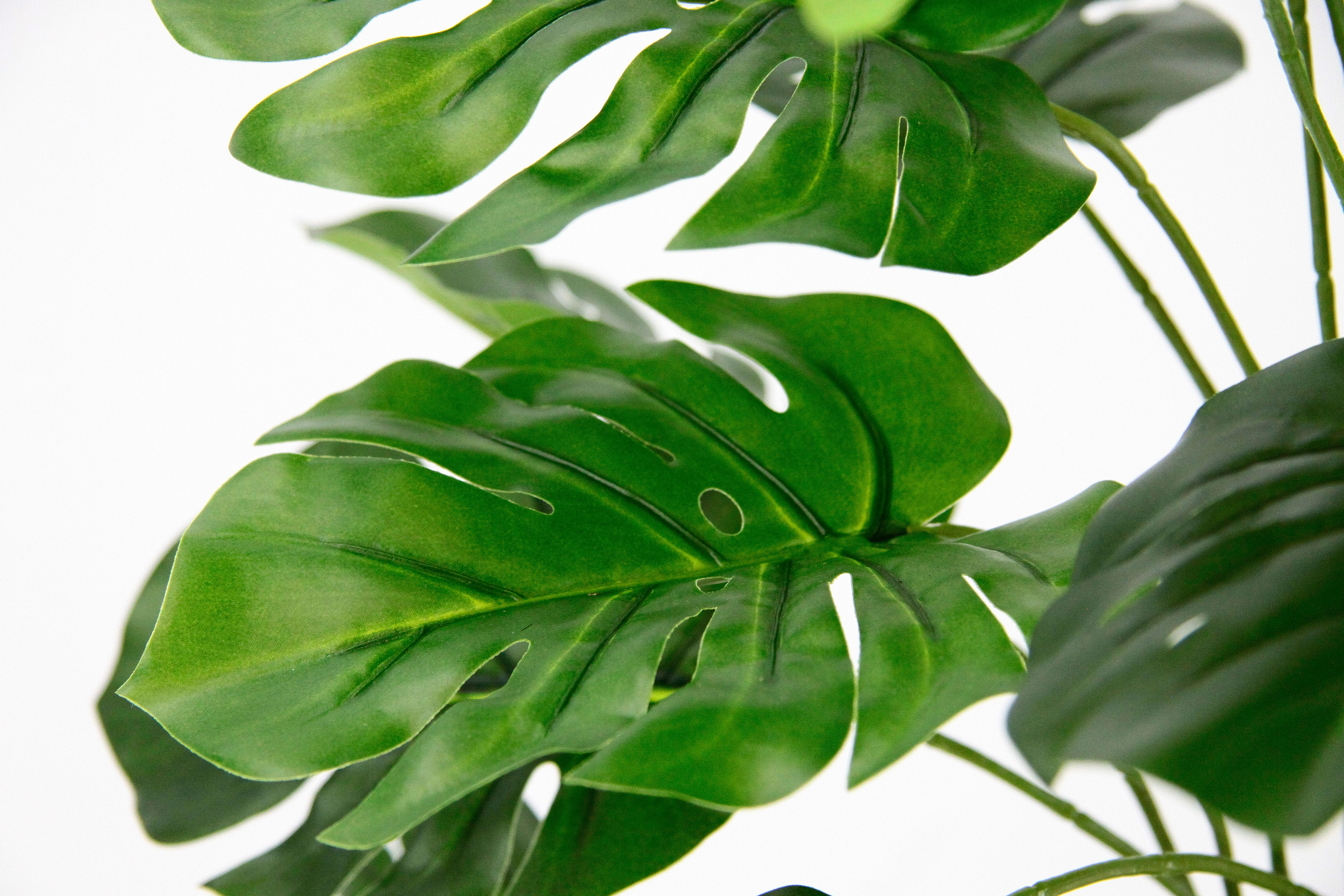 I.GE.A. Kunstplant Monstera Met overpot kunstmatige splitphilo-plant