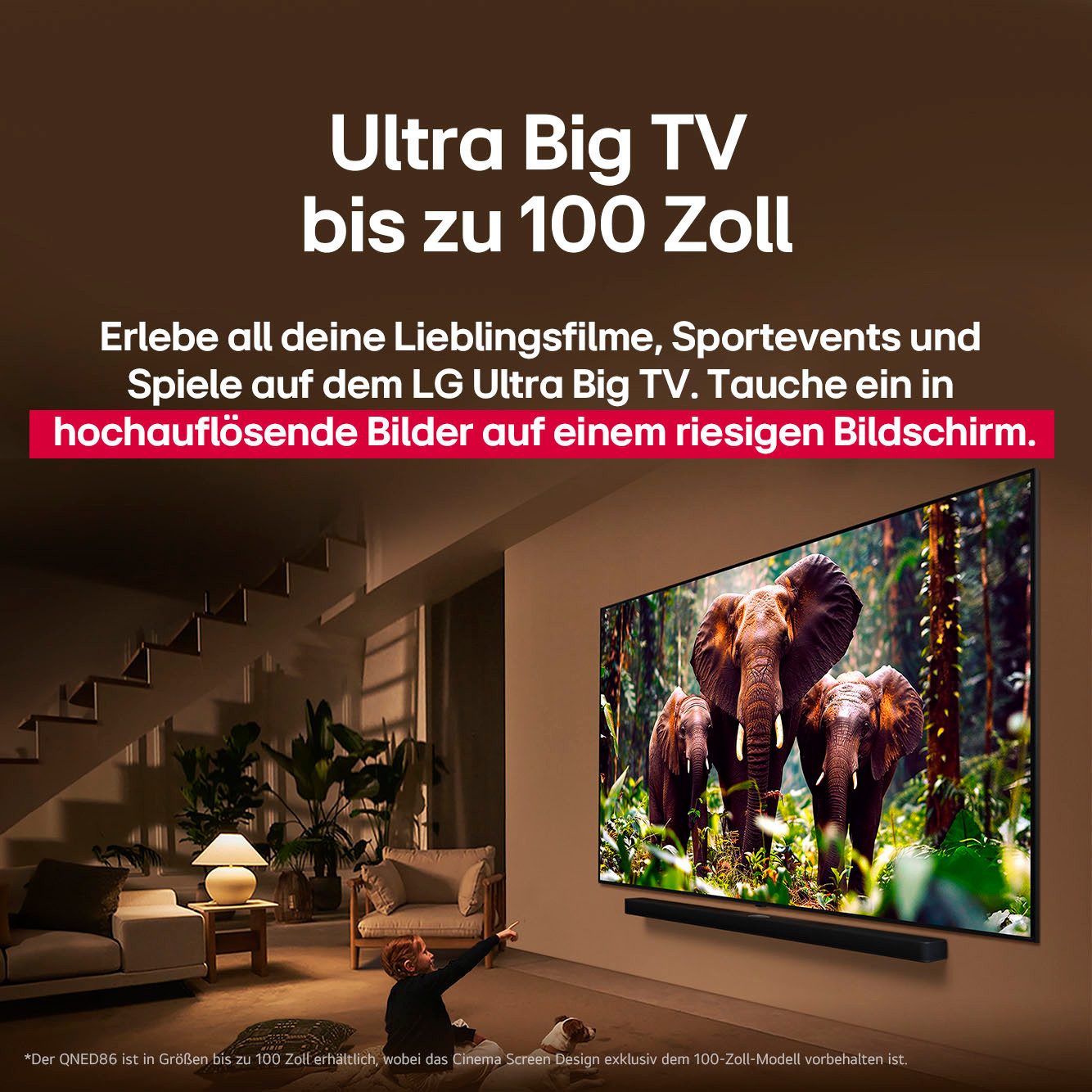 LG QNED-tv 100QNED86A6