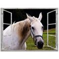 artland print op glas blik uit het venster - wit paard (1 stuk) wit