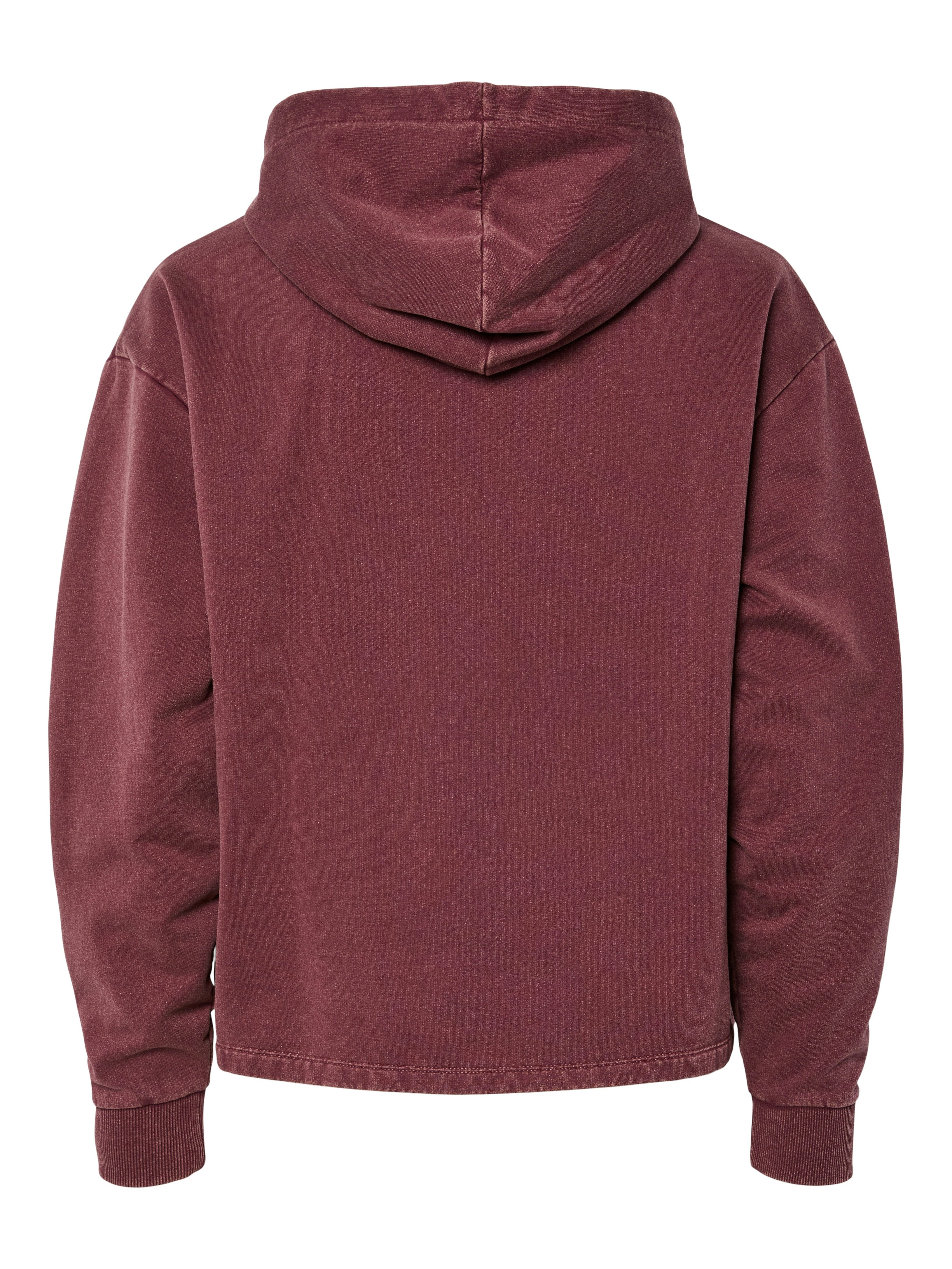 pieces Hoodie PCCHILLI LS WASHED SWEAT HOODIE NOOS BC