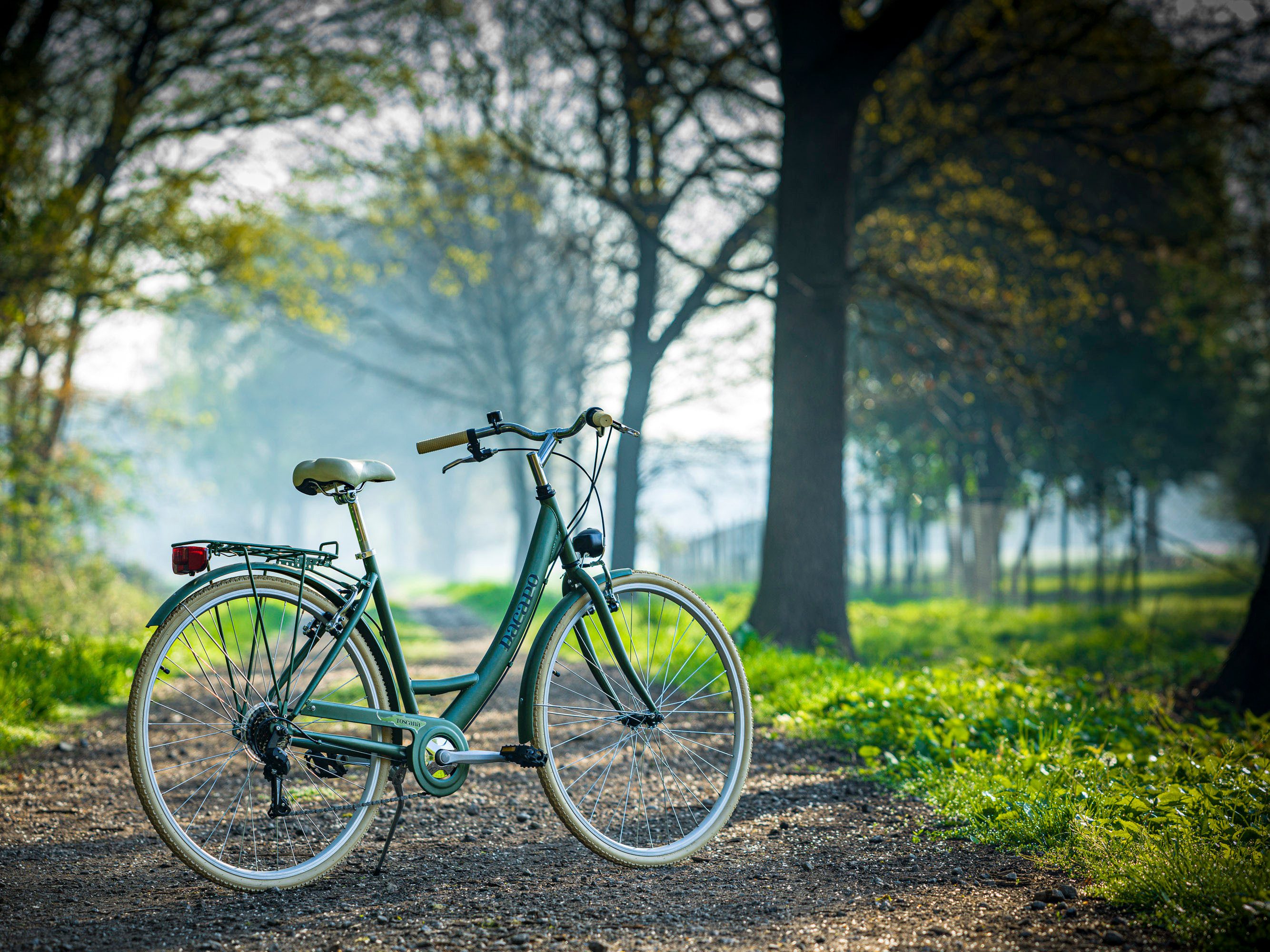 Dacapo Citybike Damesfiets 28'' Toscana groen Oregano 6 versnellingen RH 48 cm