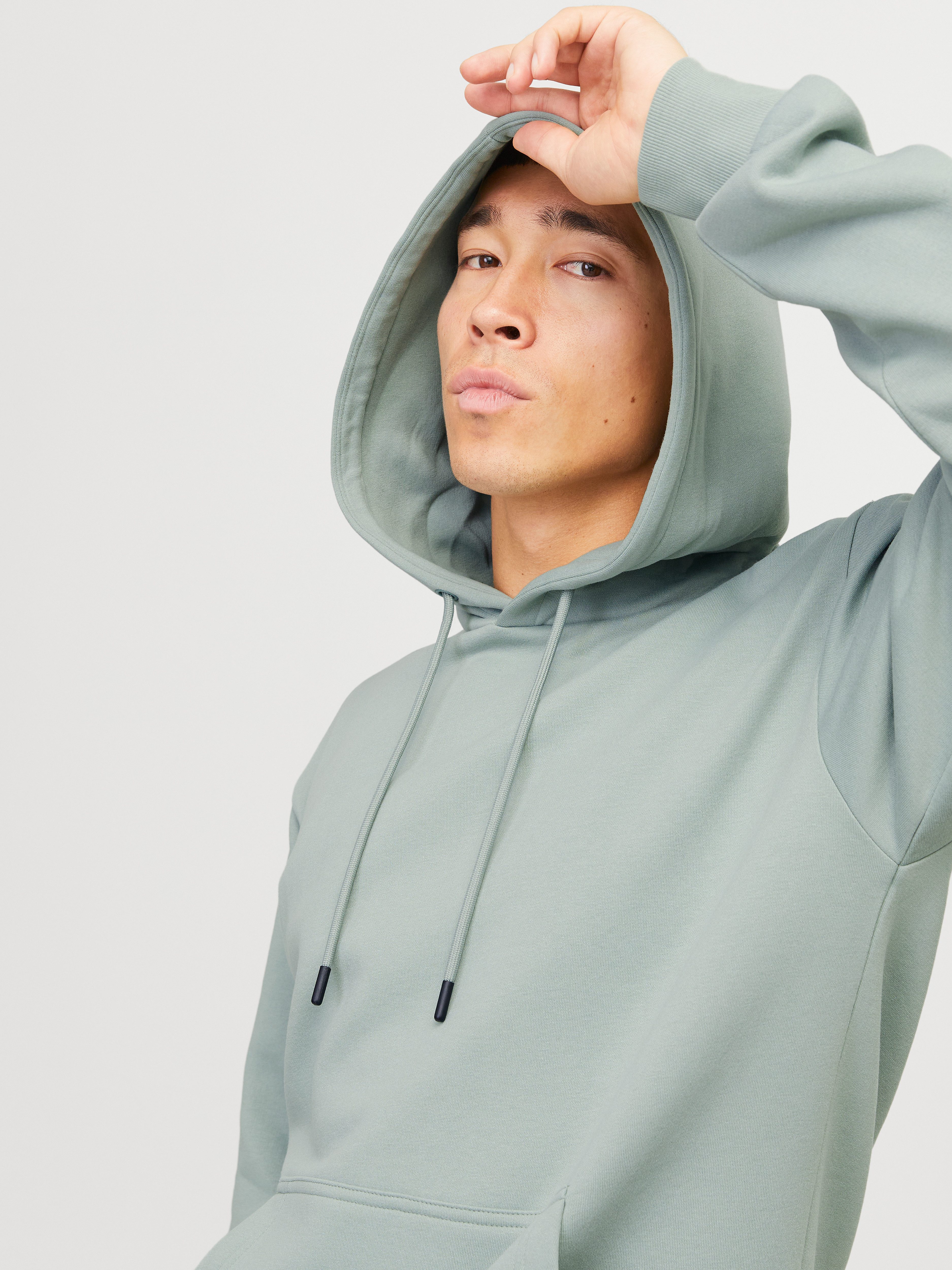 Jack & Jones Hoodie JJEBRADLEY SWEAT HOOD NOOS