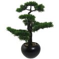creativ green kunstplant bonsai ceder in een keramische pot (1 stuk) groen