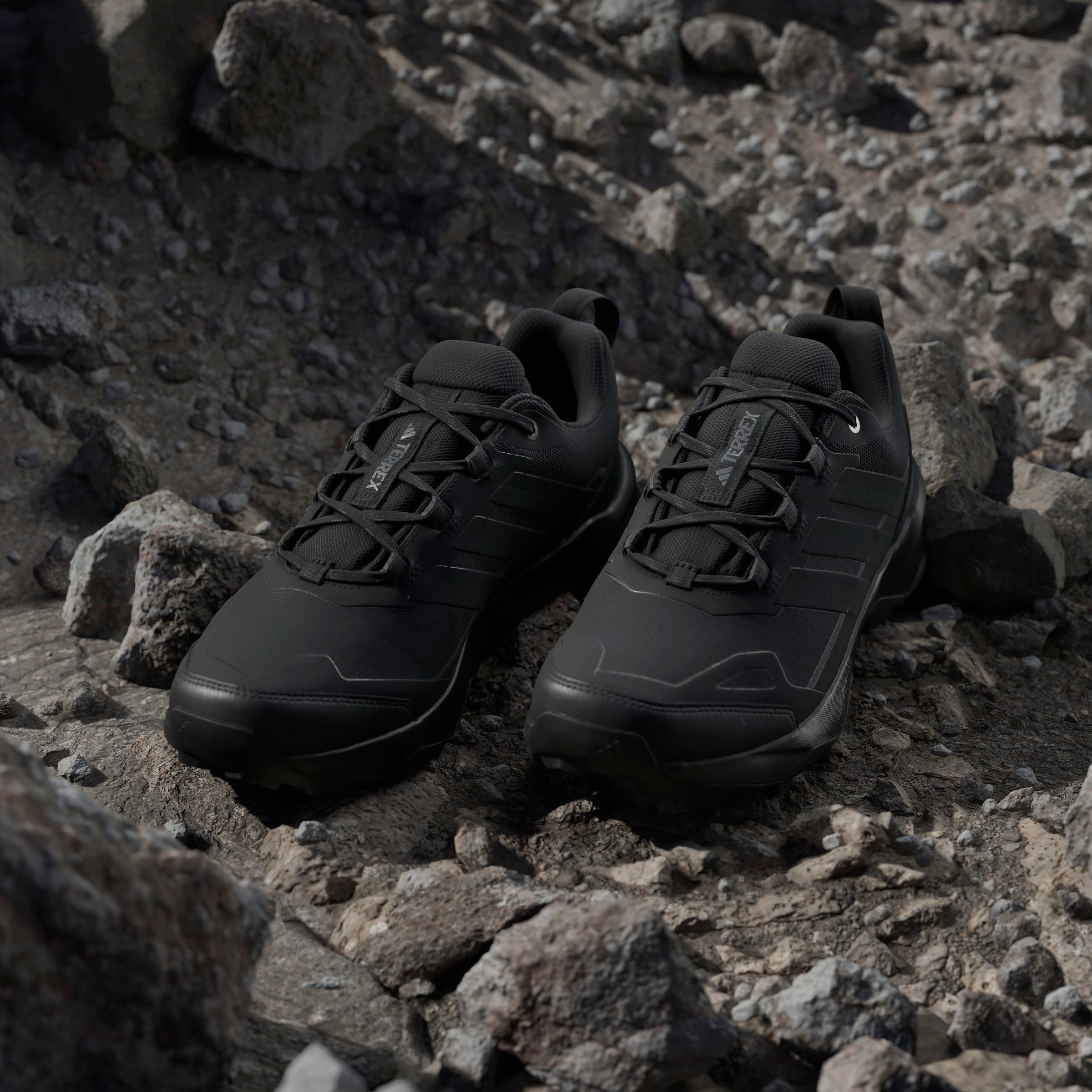 adidas TERREX Wandelschoenen TERREX SKYCHASER AX5 GORE-TEX E