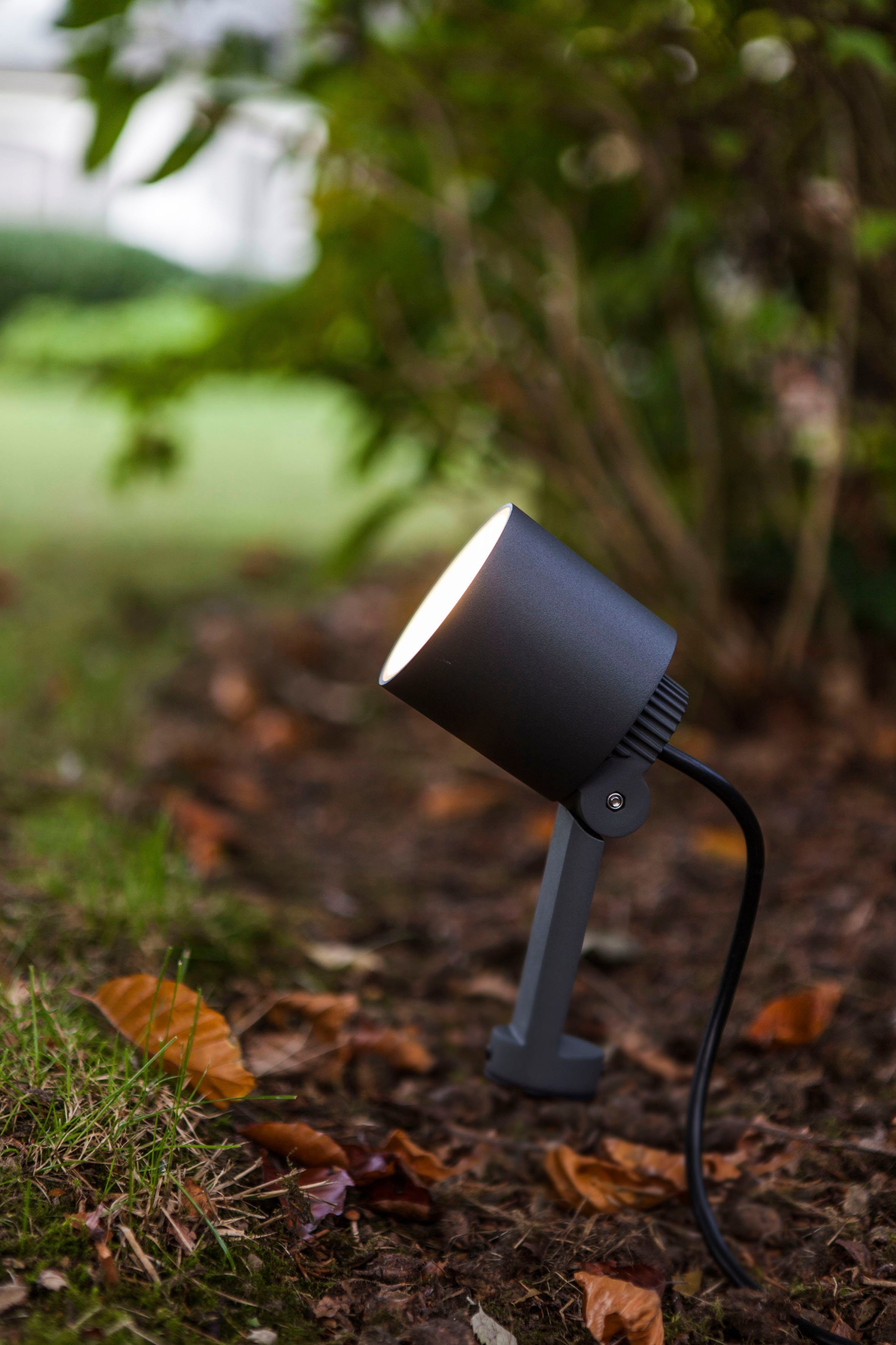 LUTEC Ledwandlamp voor buiten Explorer (1 stuk)