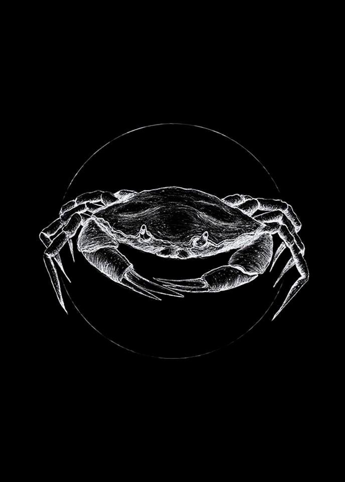 Komar Poster Crab black Hoogte: 70 cm