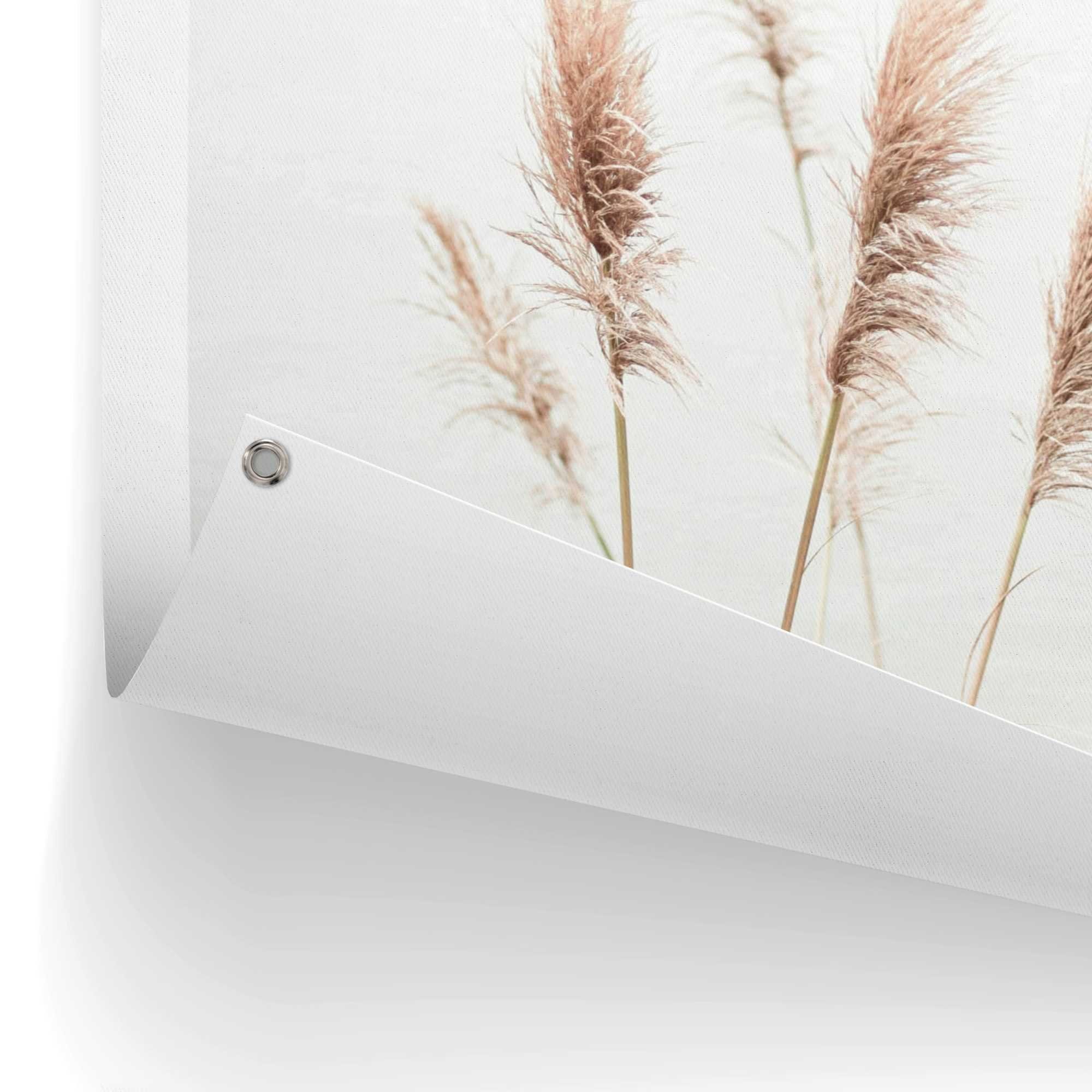 Reinders! Poster Pampasgras Outdoor voor tuin of balkon