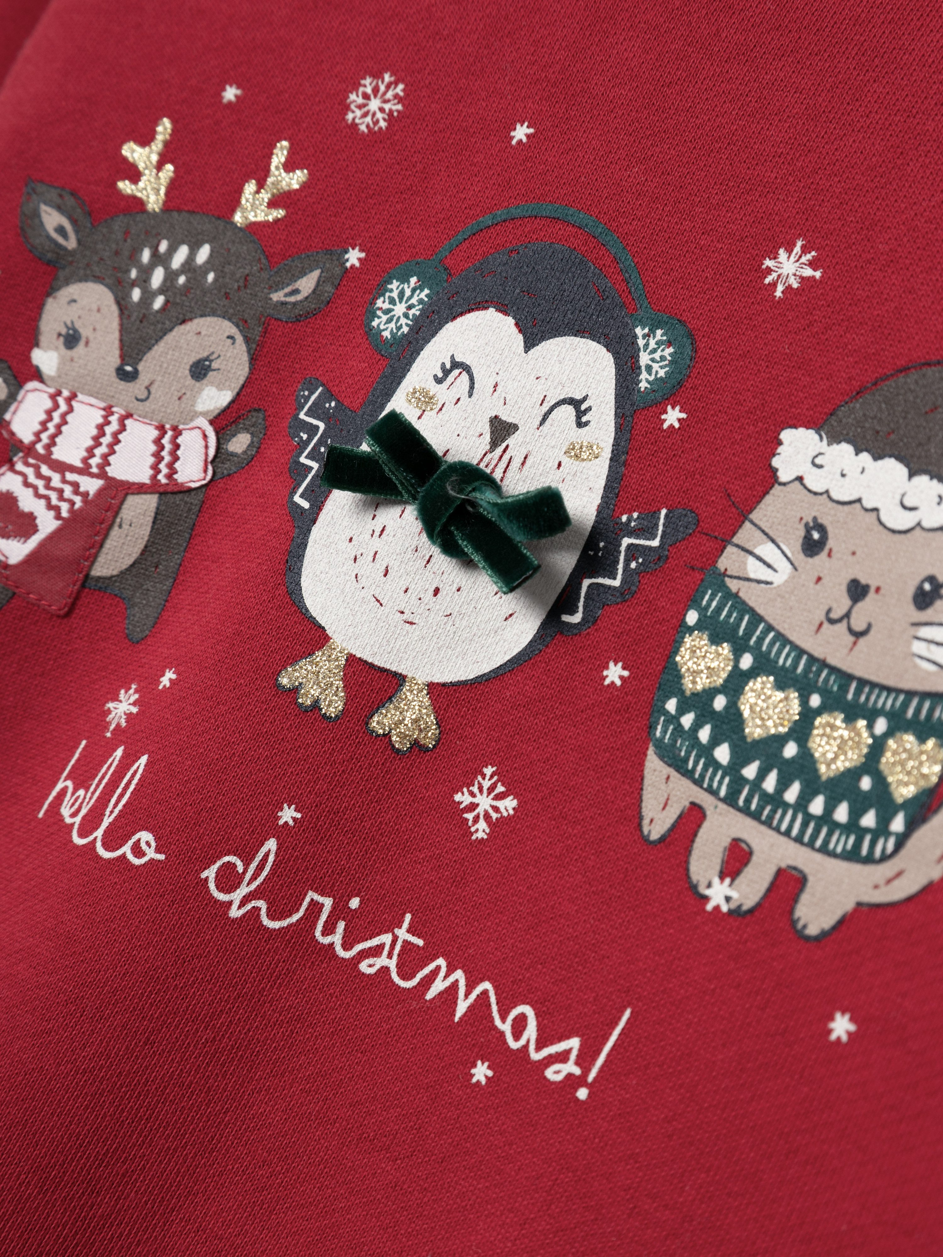 Name It Sweatshirt NMFRTINSEL NREG SWEAT BRU BOX