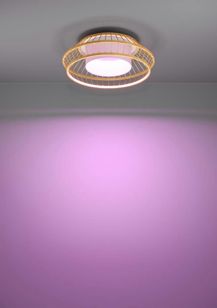 EGLO Plafondlamp YUKU-Z ZigBee, app en spraakbesturing Alexa, RGB, dimbaar, Ø 46 cm (1 stuk)