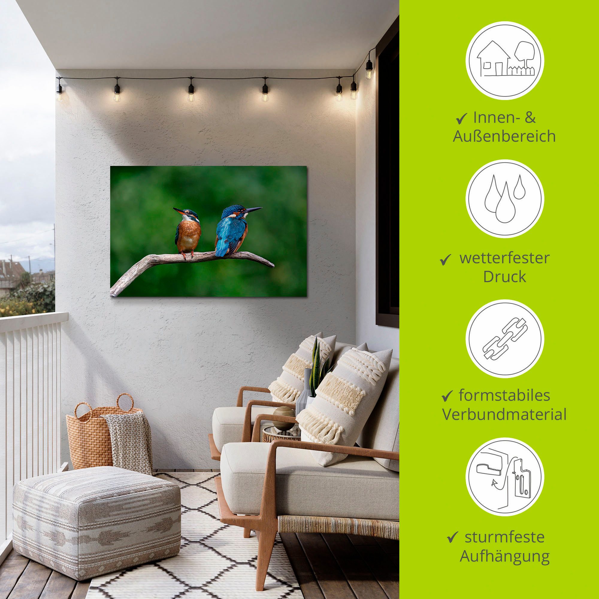 Artland Artprint Twee ijsvogels als artprint van aluminium, artprint voor buiten, poster in diverse formaten