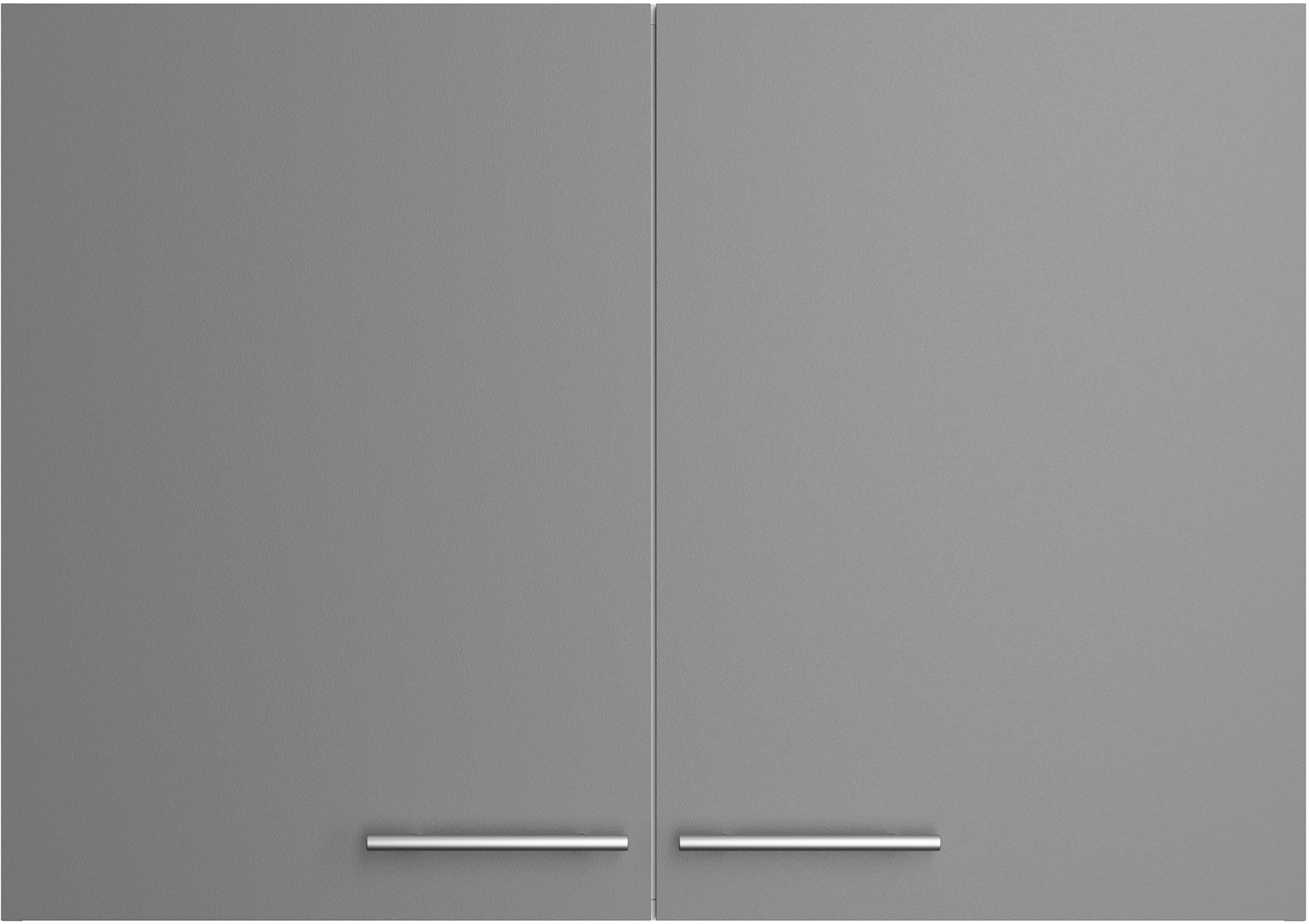 OPTIFIT Hangend kastje Lilly Breedte 100 cm, 2 deuren, 4 planken