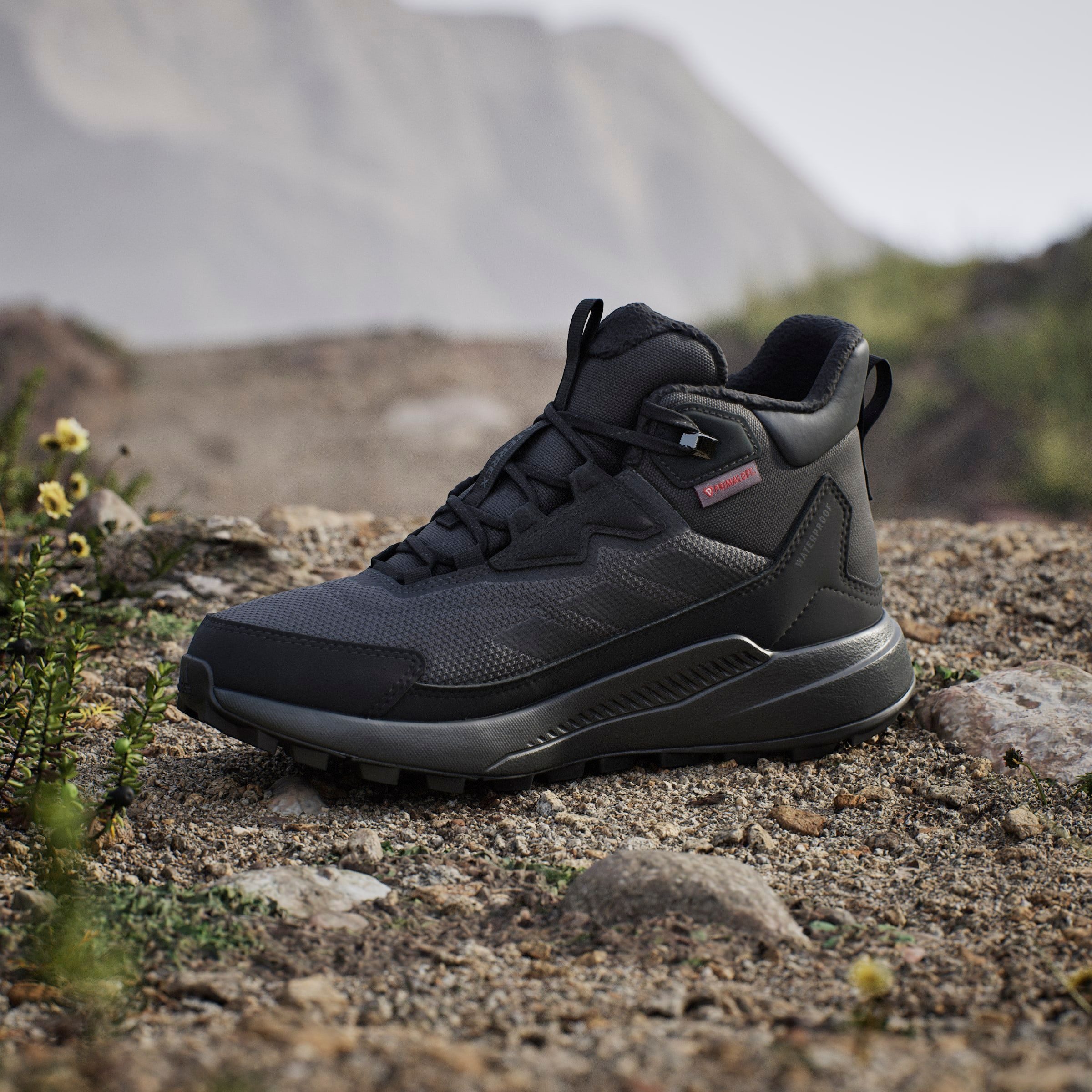 adidas TERREX Wandelschoenen TERREX ANYLANDER CLIMAWARM+ E