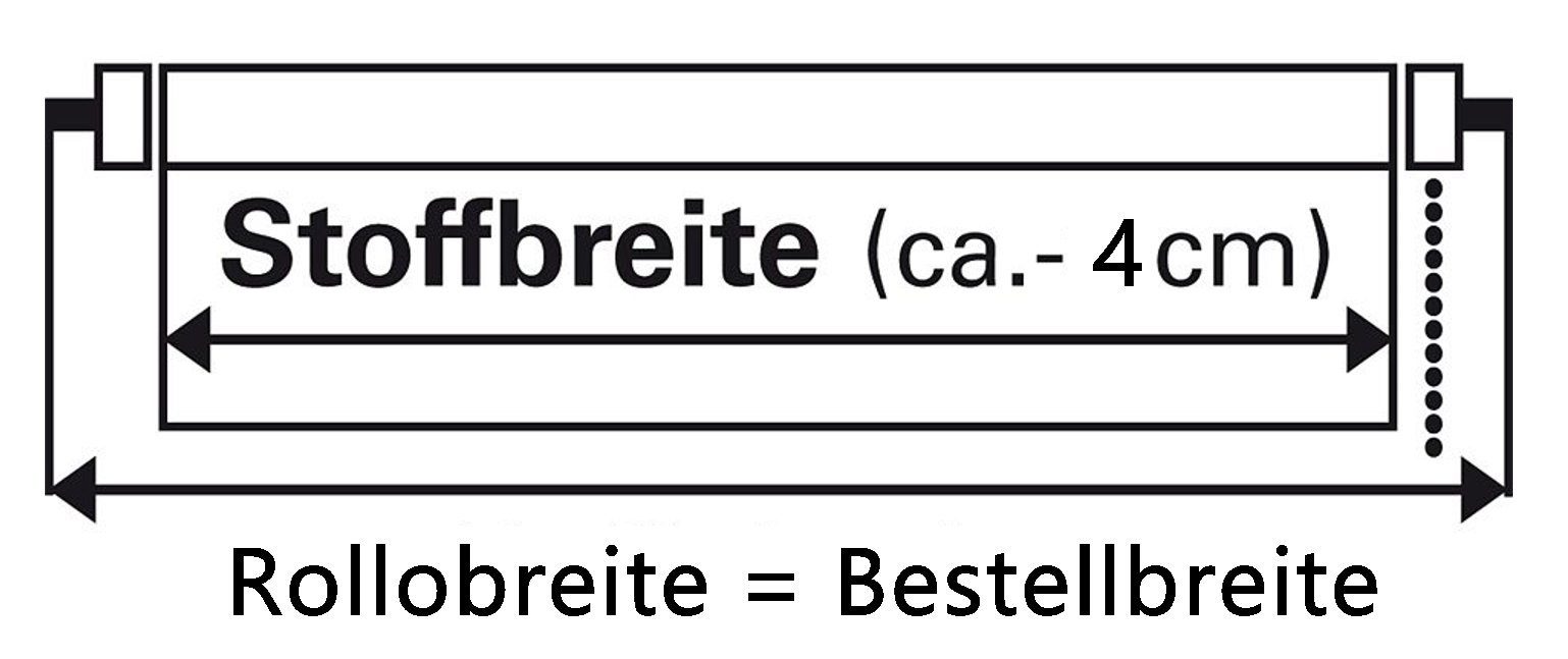 my home Rolgordijn met zijbediening Theems-Uni Bestseller met 1500 4,5-sterrenbeoordelingen, klemdrager bestseller (1 stuk)