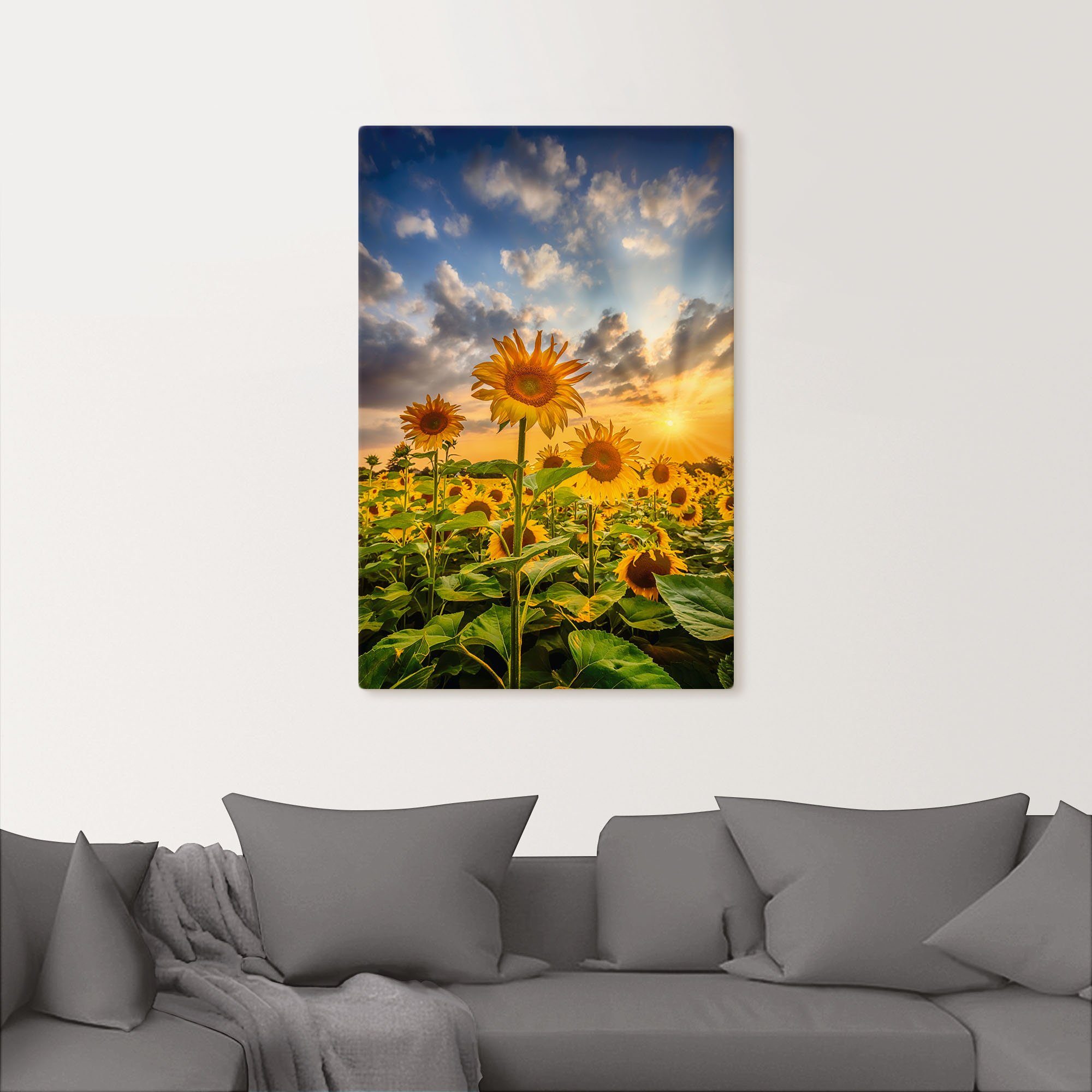 Artland Artprint Zonnebloemen in de zonsondergang als artprint op linnen, poster in verschillende formaten maten