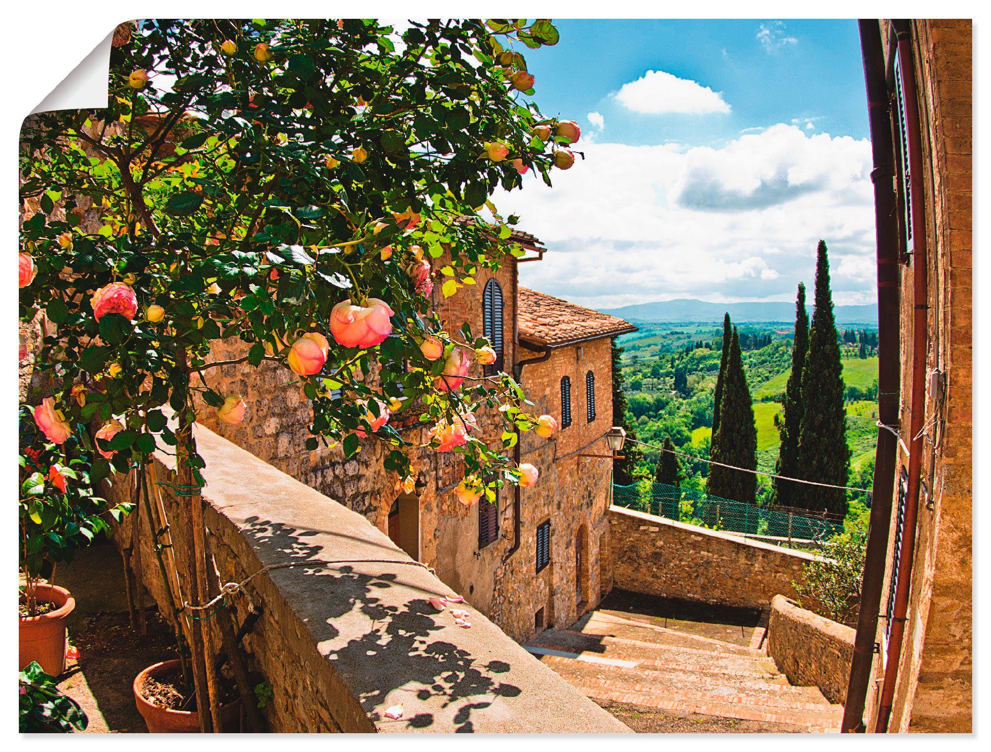 Artland artprint Rosen auf Balkon Toskanalandschaft