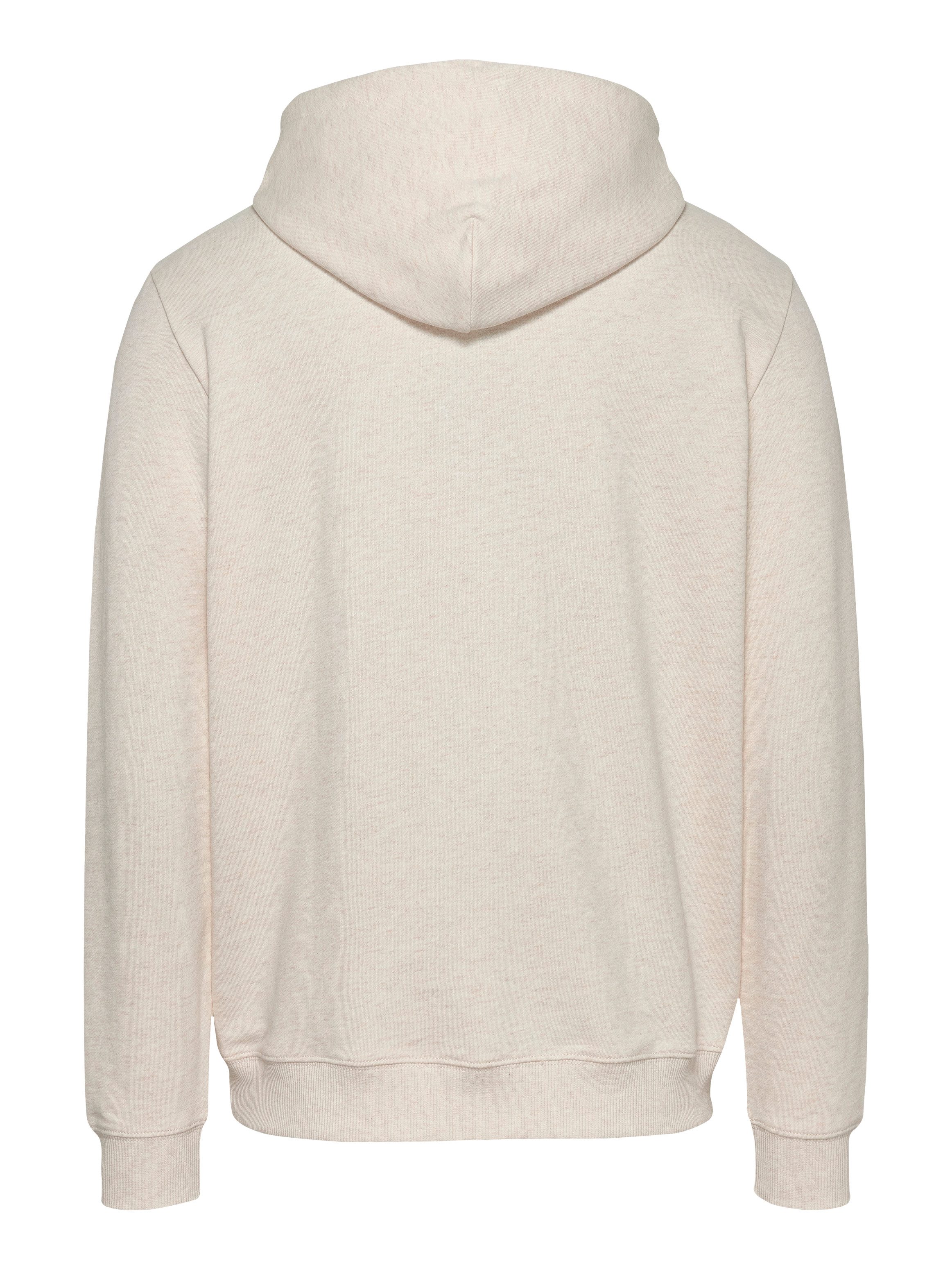 TOMMY JEANS Hoodie TJM REG ENTRY GRAPHIC HOODIE EXT