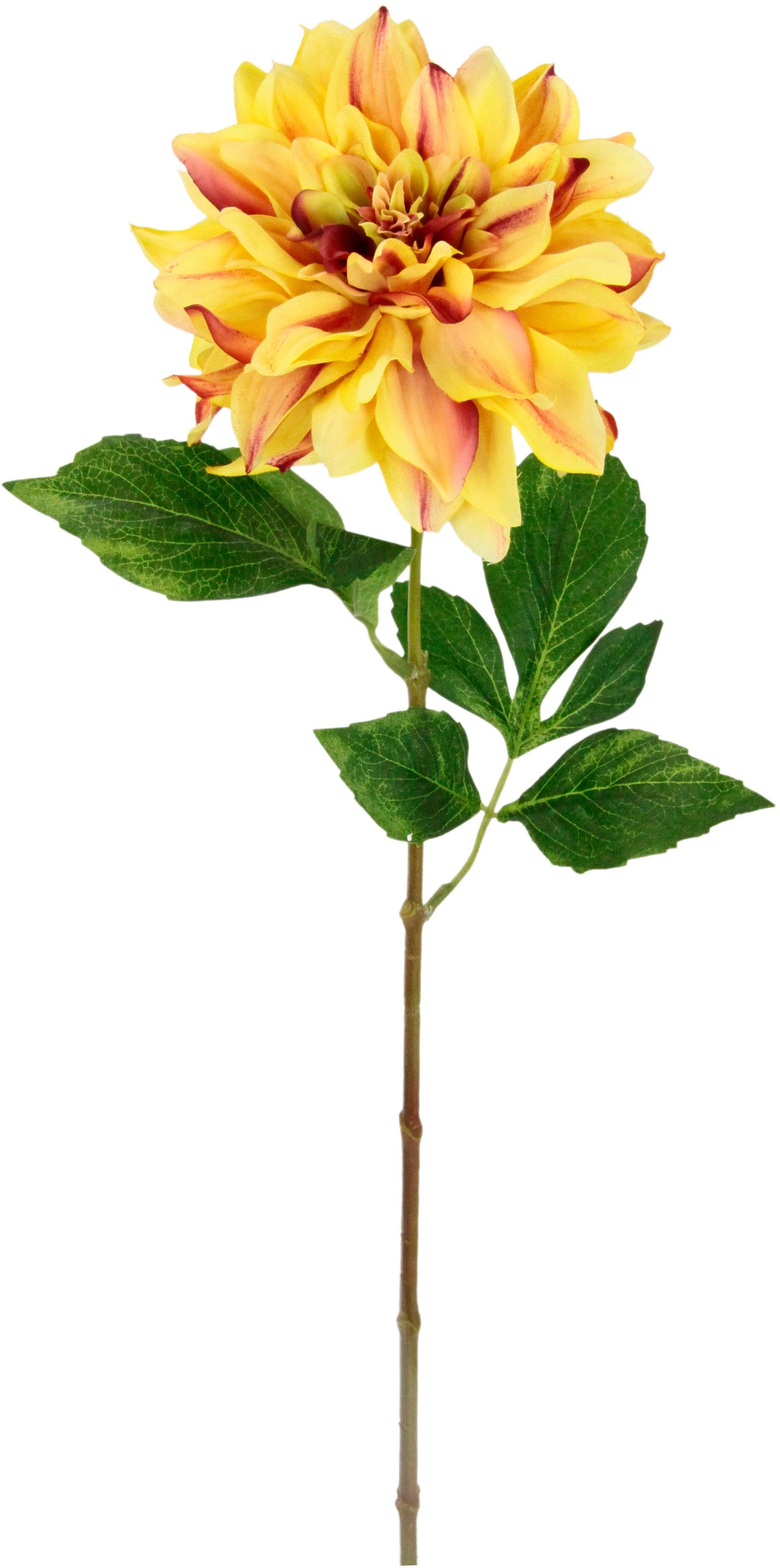 I.GE.A. Kunstbloem Dahlia Enkele bloem, steelbloem, 3-delige set (3 stuks)
