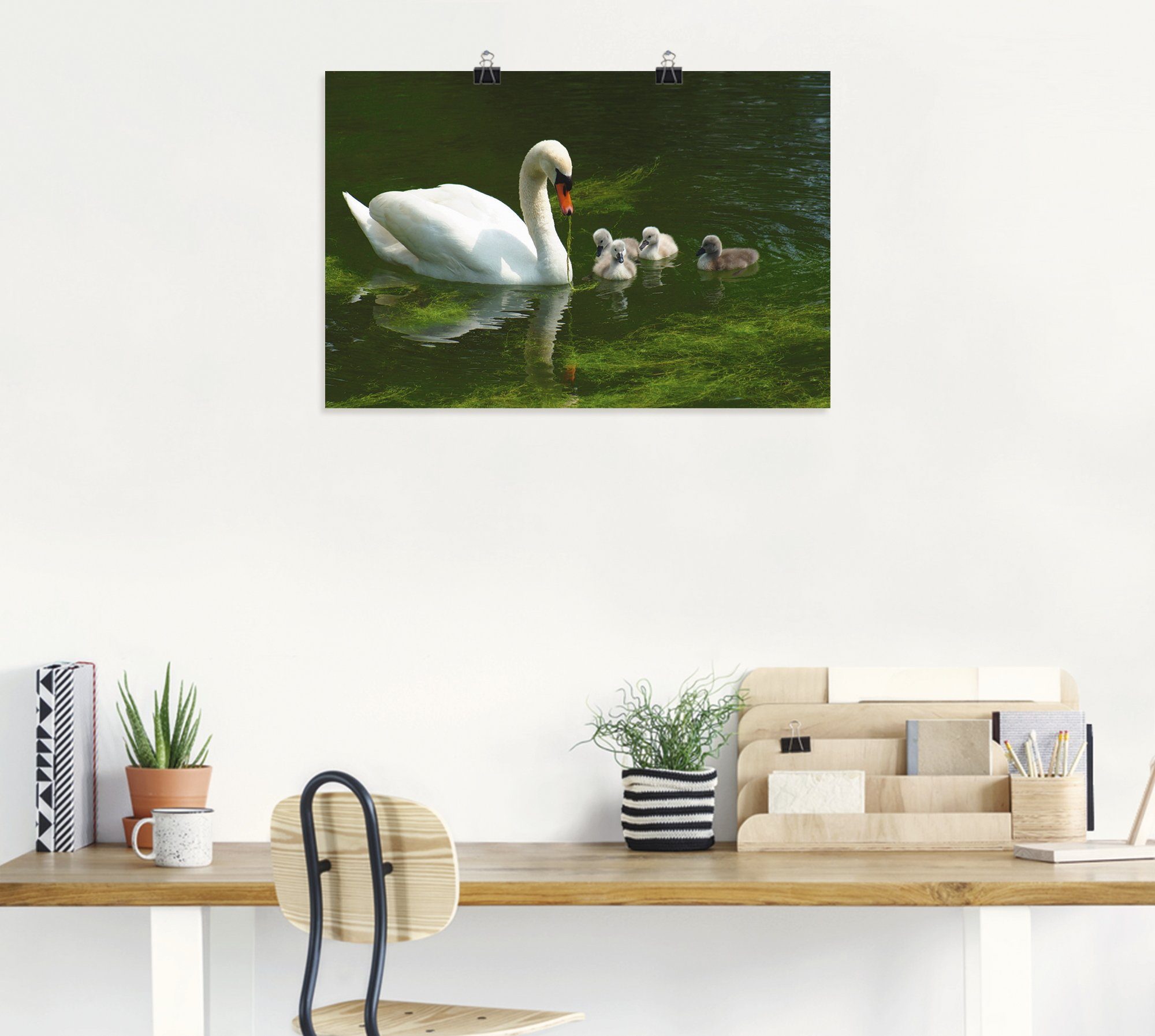 Artland Artprint Zwanen familie als artprint van aluminium, artprint op linnen, muursticker of poster in verschillende maten