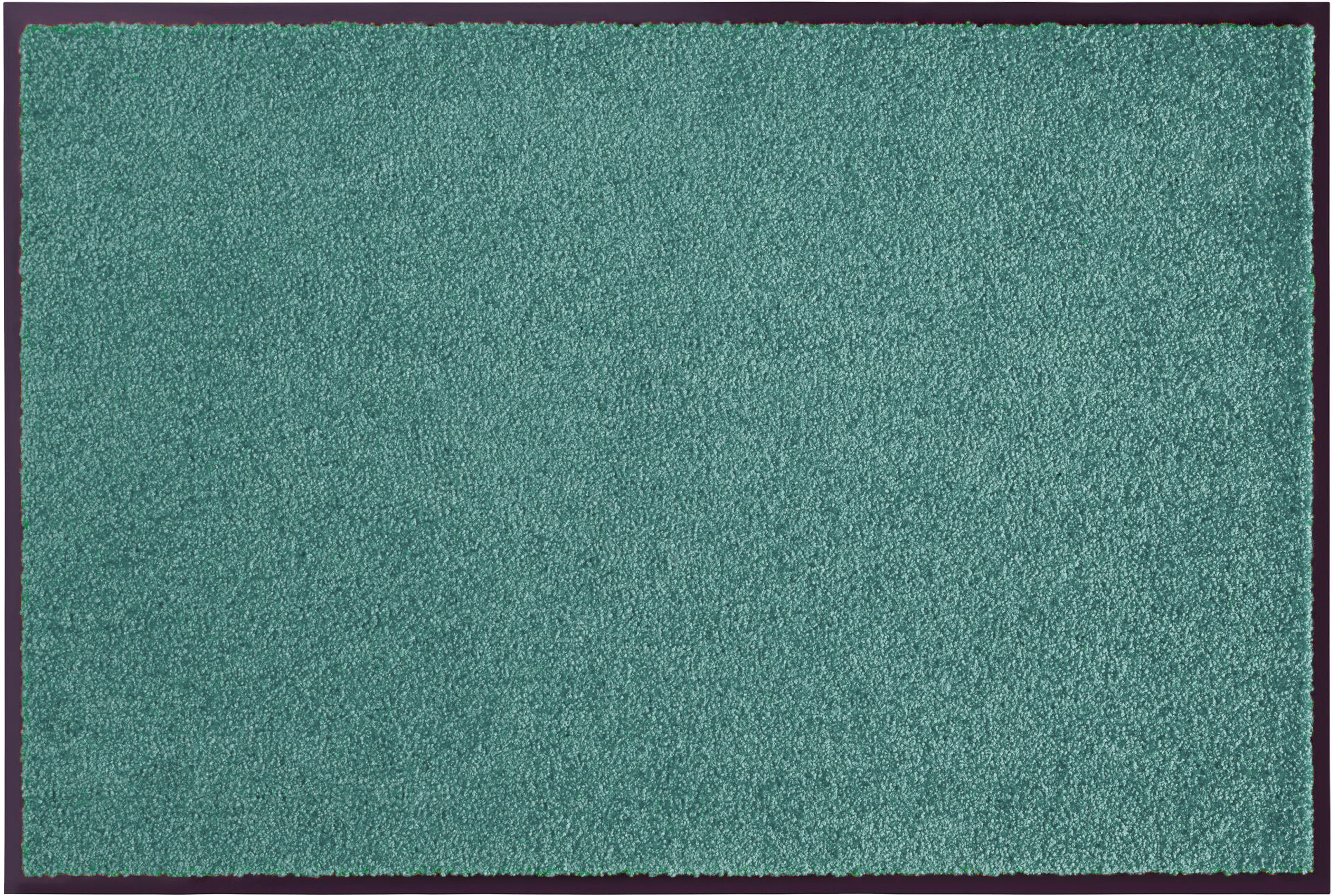 HANSE Home Mat Wash & Clean Vuilopvangmat, deurmat, in- en uitwendig, tapijt, loper, wasbaar deurmatten maat 120x180 cm groen