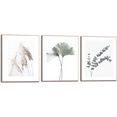 reinders! artprint set artprints natuurmotief ginkgo en eucalyptus plant - gras - tak - eucalyptus (3 stuks) groen