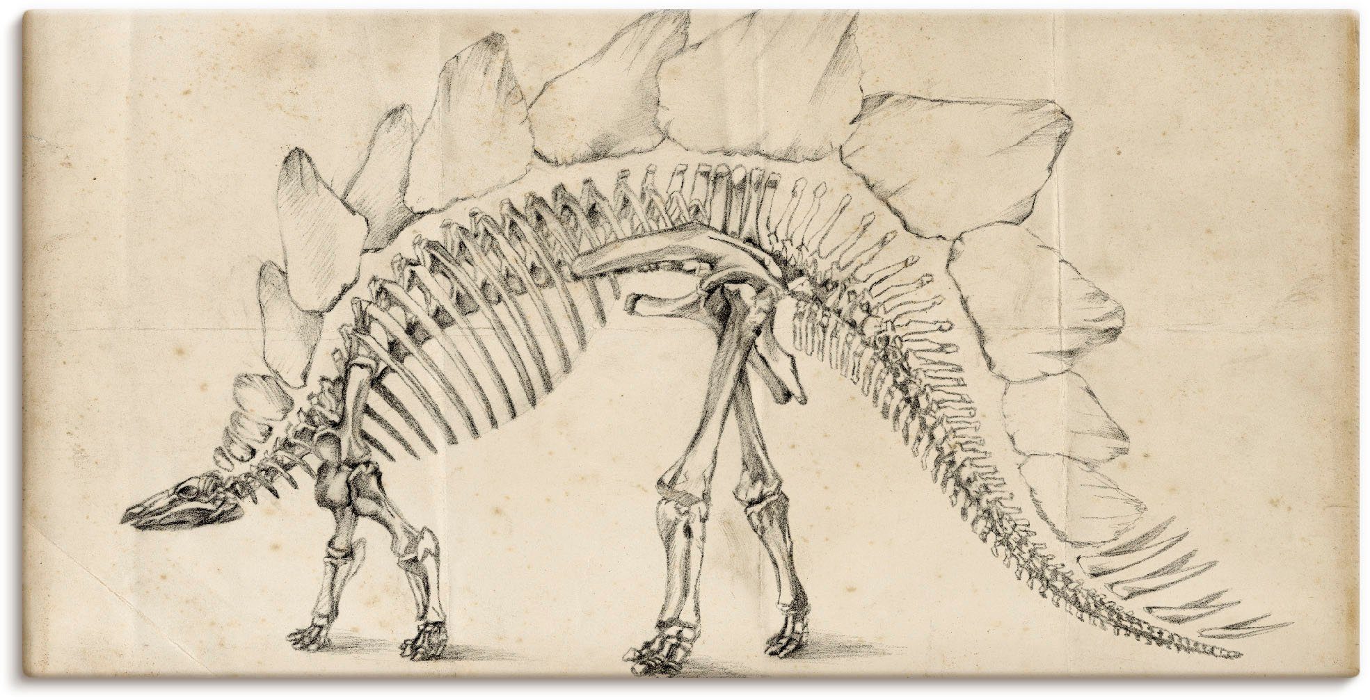 Artland Artprint Dinosaurus leer III in vele afmetingen & productsoorten - artprint van aluminium / artprint voor buiten, artprint op linnen, poster, muursticker / wandfolie ook ge