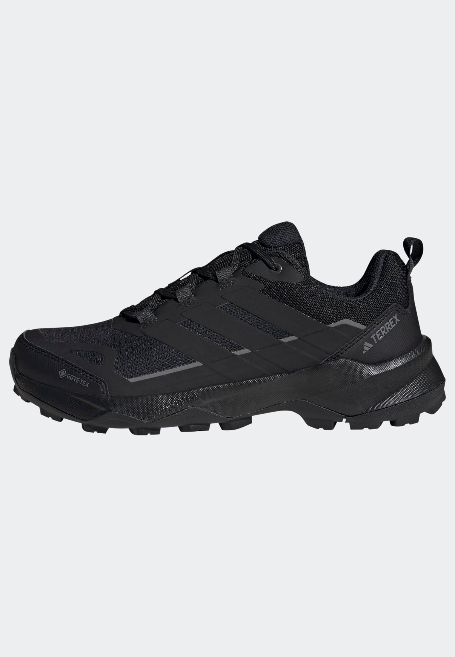 adidas TERREX Wandelschoenen TERREX SKYCHASER AX5 GORE-TEX E