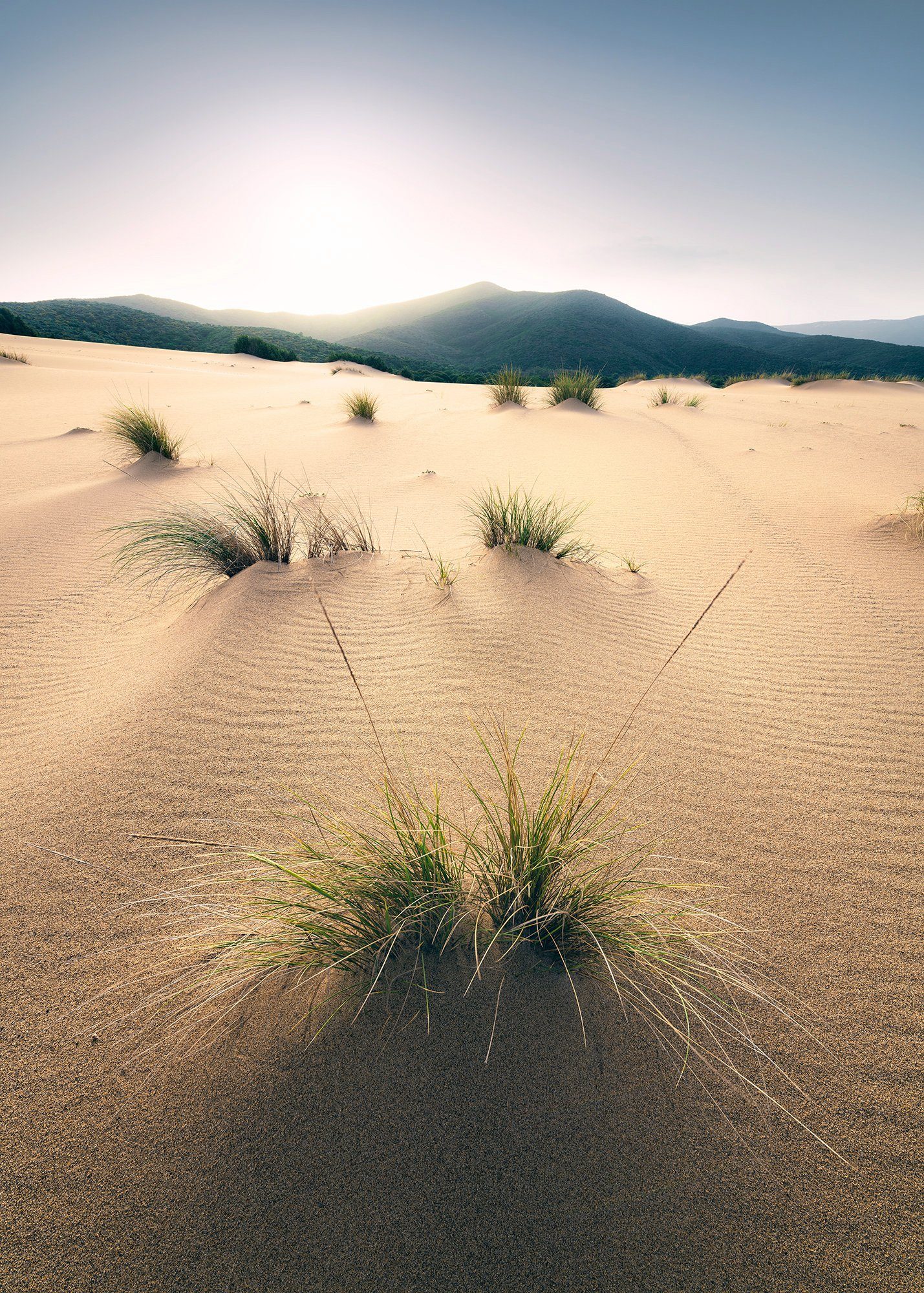 Komar fotobehang Vivid Dunes