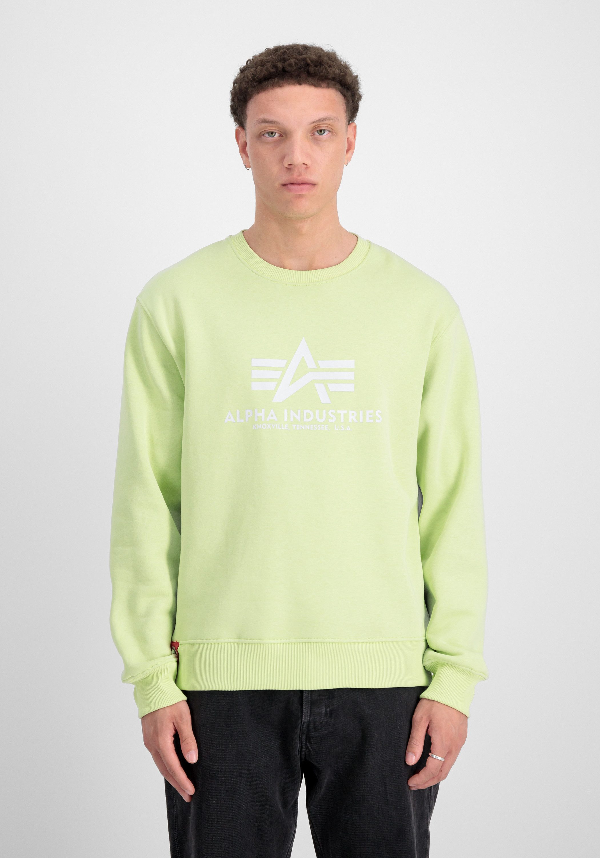 Alpha Industries Sweater Alpha Industries Men - Sweatshirts Basic Sweater