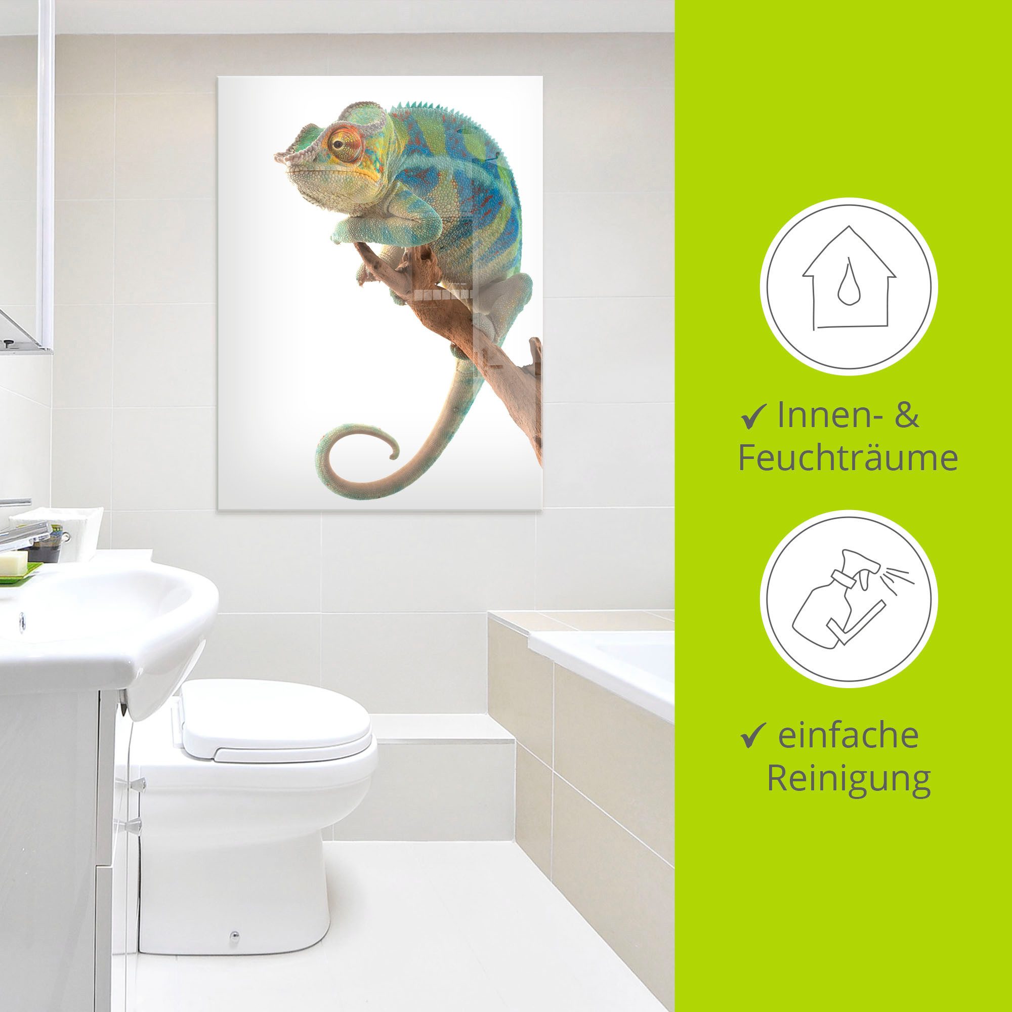 Artland Print op glas Ambanja panter kameleon
