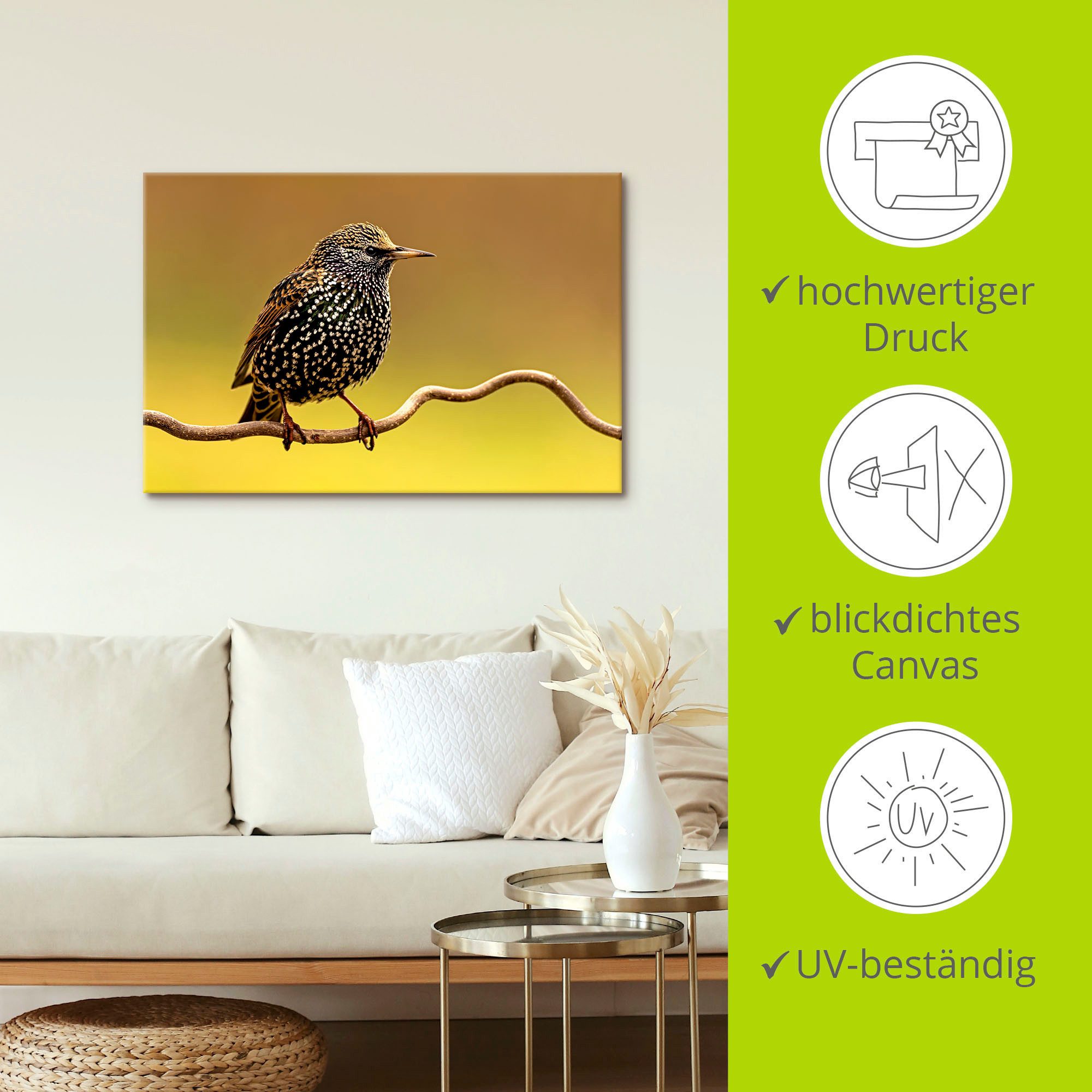 Artland Artprint Star als artprint op linnen, poster in verschillende formaten maten