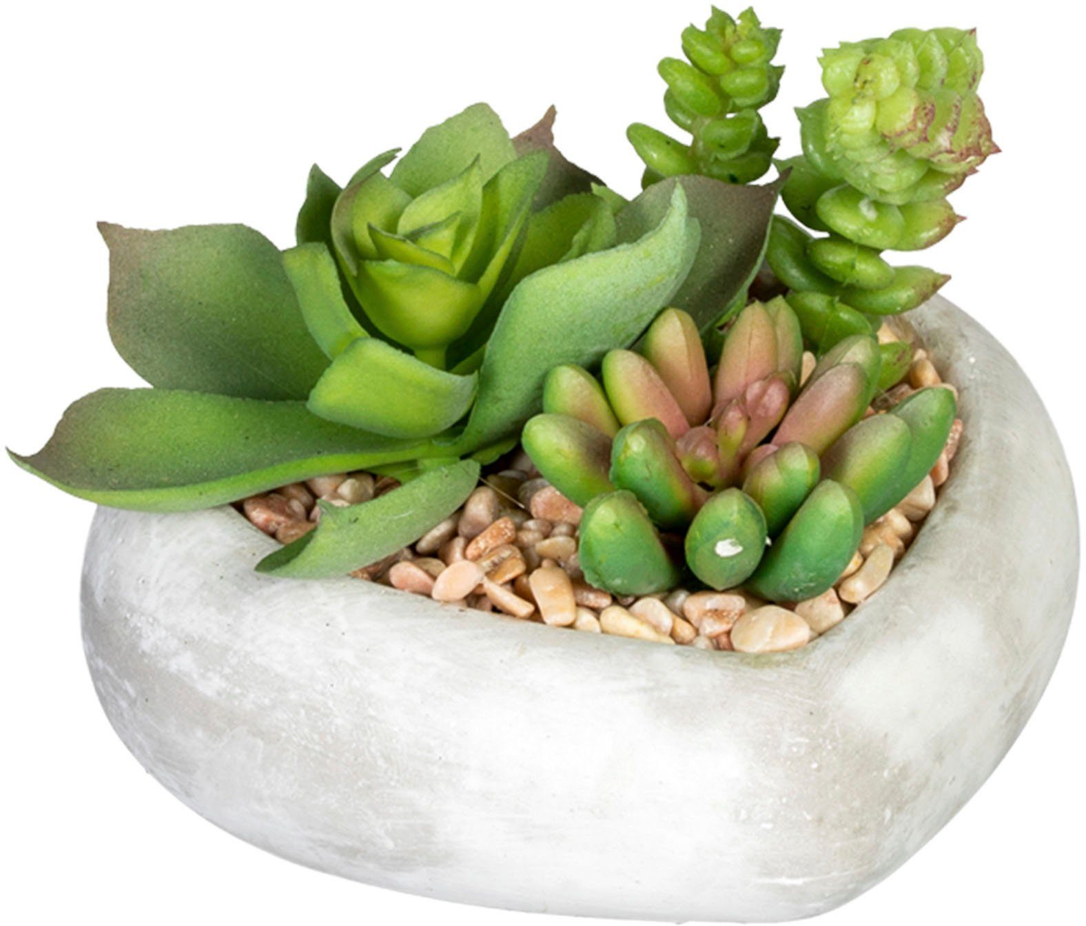 Creativ green Kunst-potplanten Vetplanten-arrangement in cementkom, set van 3 (3 stuks)