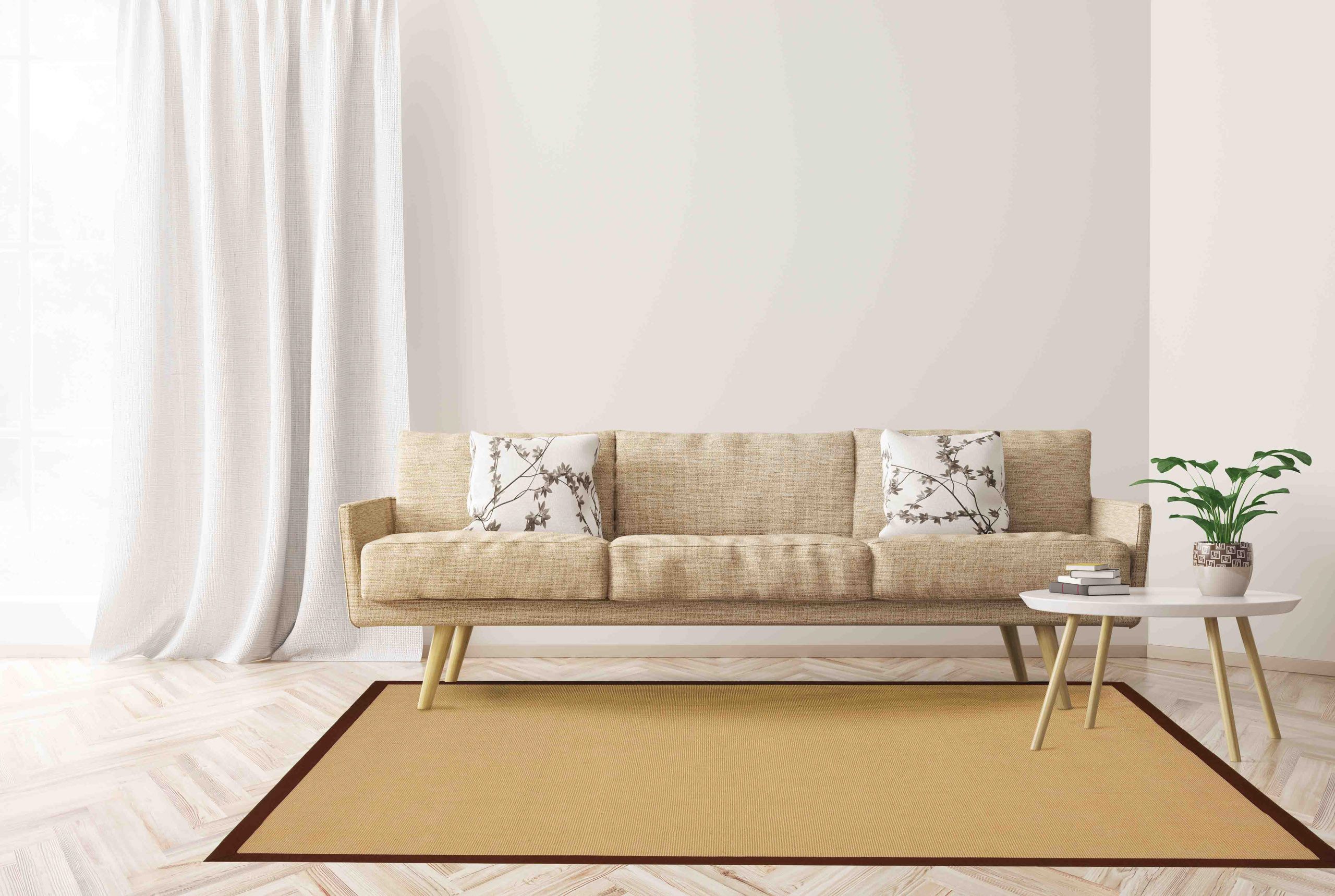 carpetfine Sisalkleed Sisal met gekleurd randdessin, antislip achterzijde sisal vloerkleden bruin