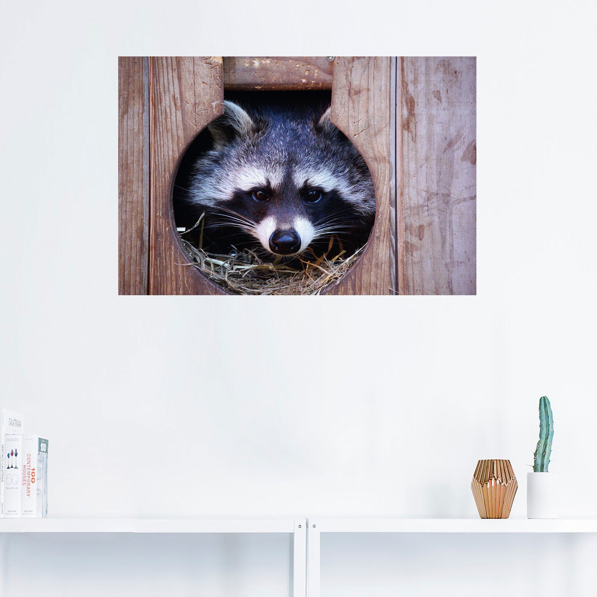 Artland Artprint Schattige kleine wasbeer als artprint op linnen, muursticker in verschillende maten