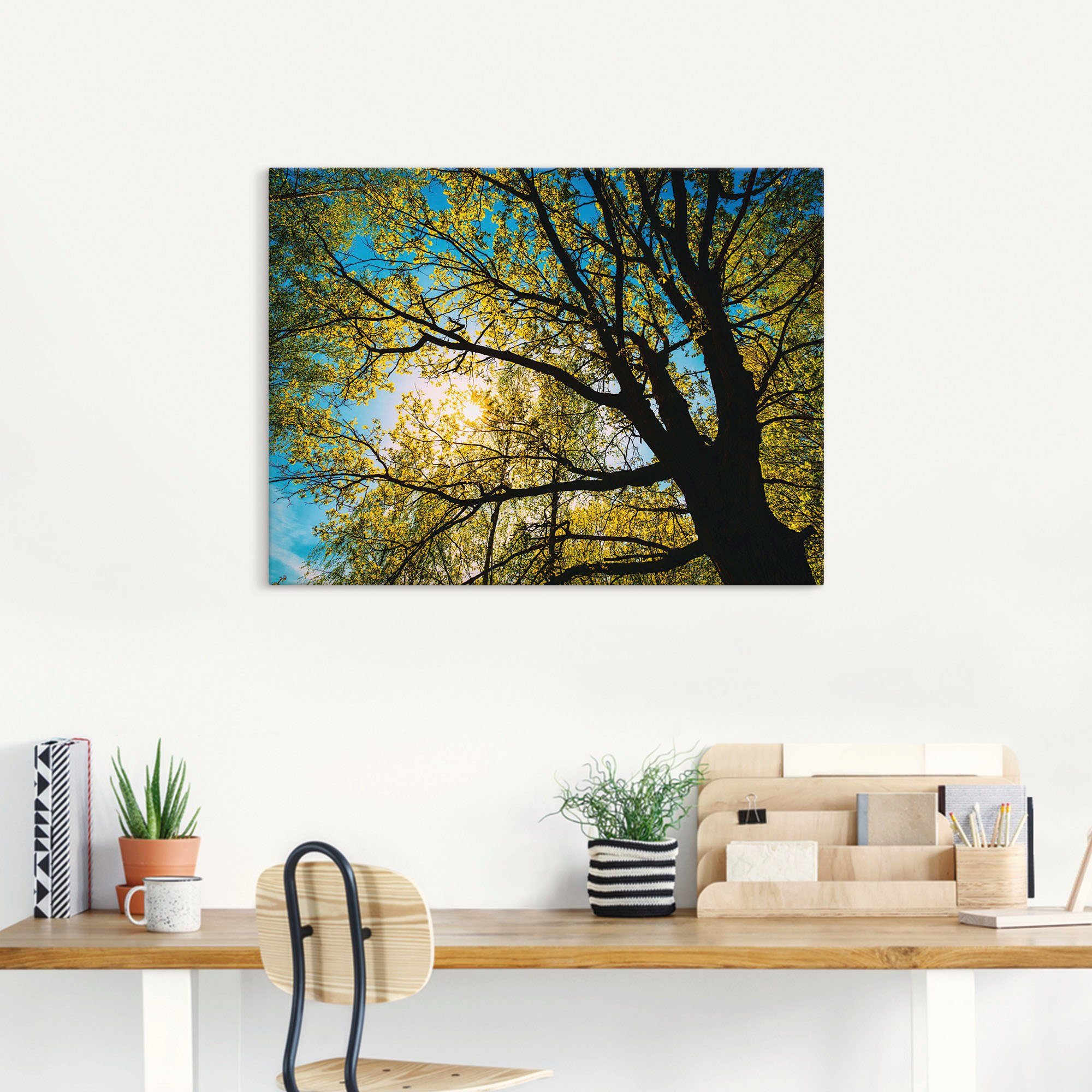 Artland Artprint op linnen Lentezon door boomkruin gespannen op een spieraam