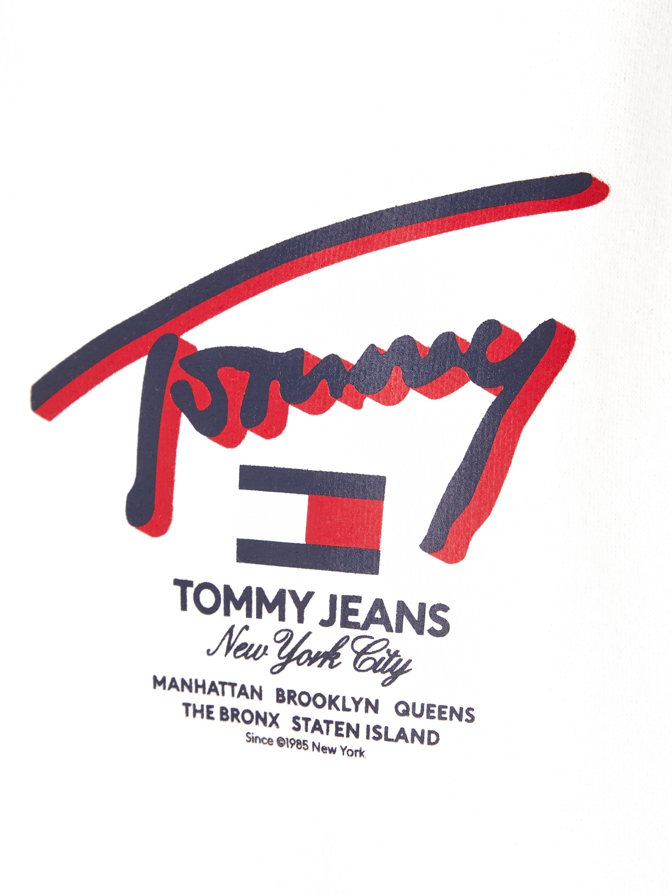 TOMMY JEANS Hoodie TJM REG 3D STREET TJ HOOD EXT