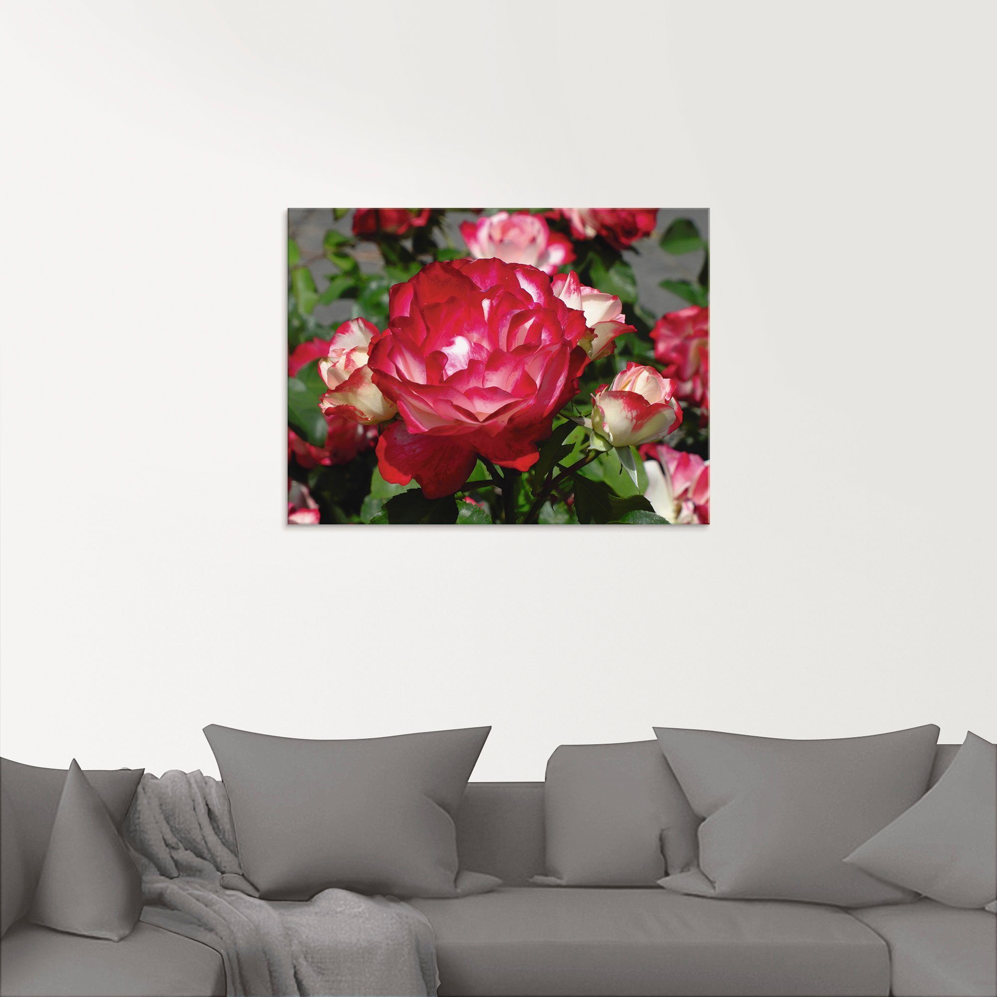 Artland Print op glas Rood witte roos in verschillende maten