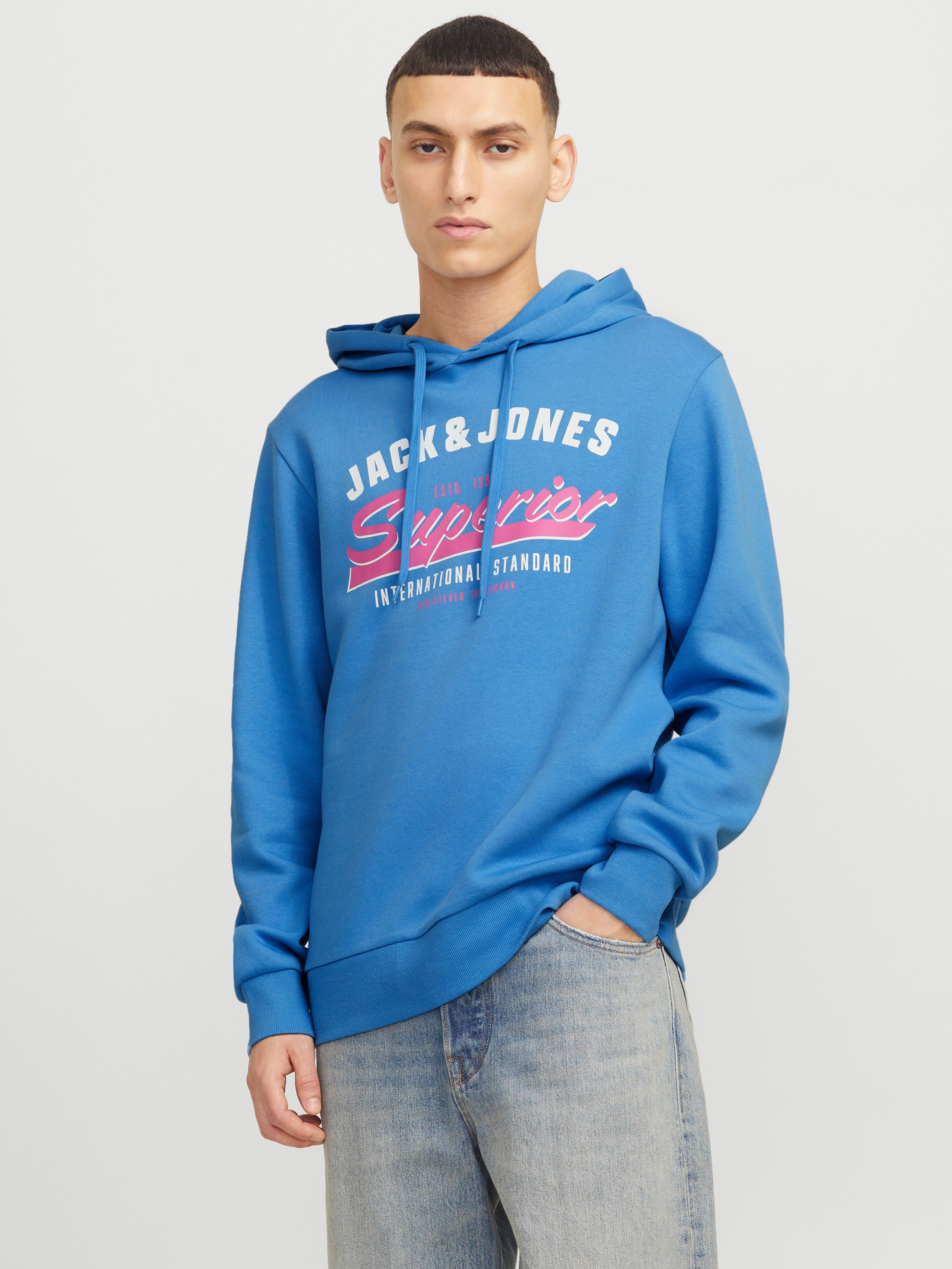 Jack & Jones Hoodie JJELOGO SWEAT HOOD 2 COL 24/25 NOOS