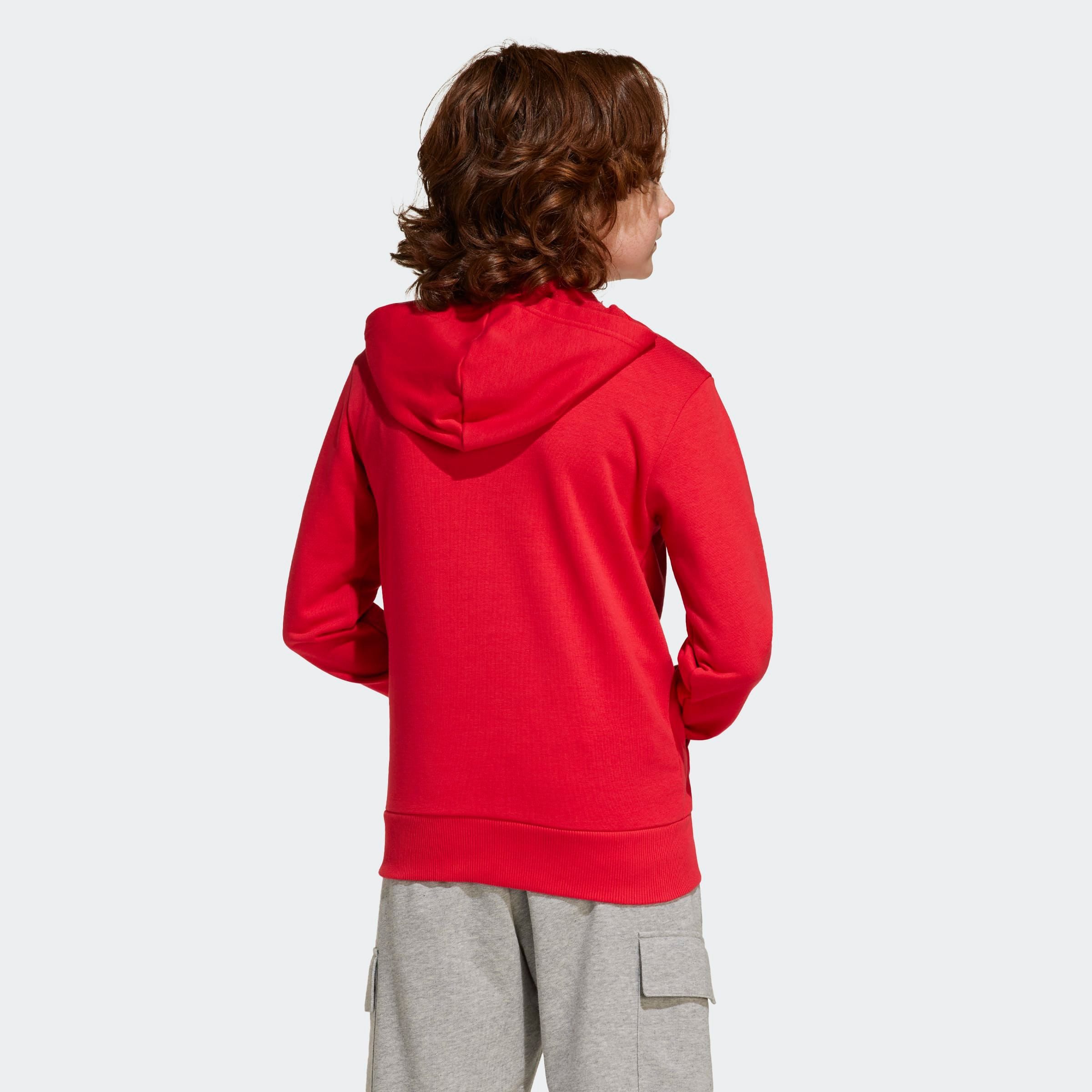 adidas Sportswear Hoodie J BL FT HD 280