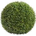botanic-haus kunstboom buxusbol (1 stuk) groen