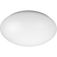 niermann plafondlamp plafonnière plafonnière kunststof, opaal wit 29 cm (1 stuk) wit