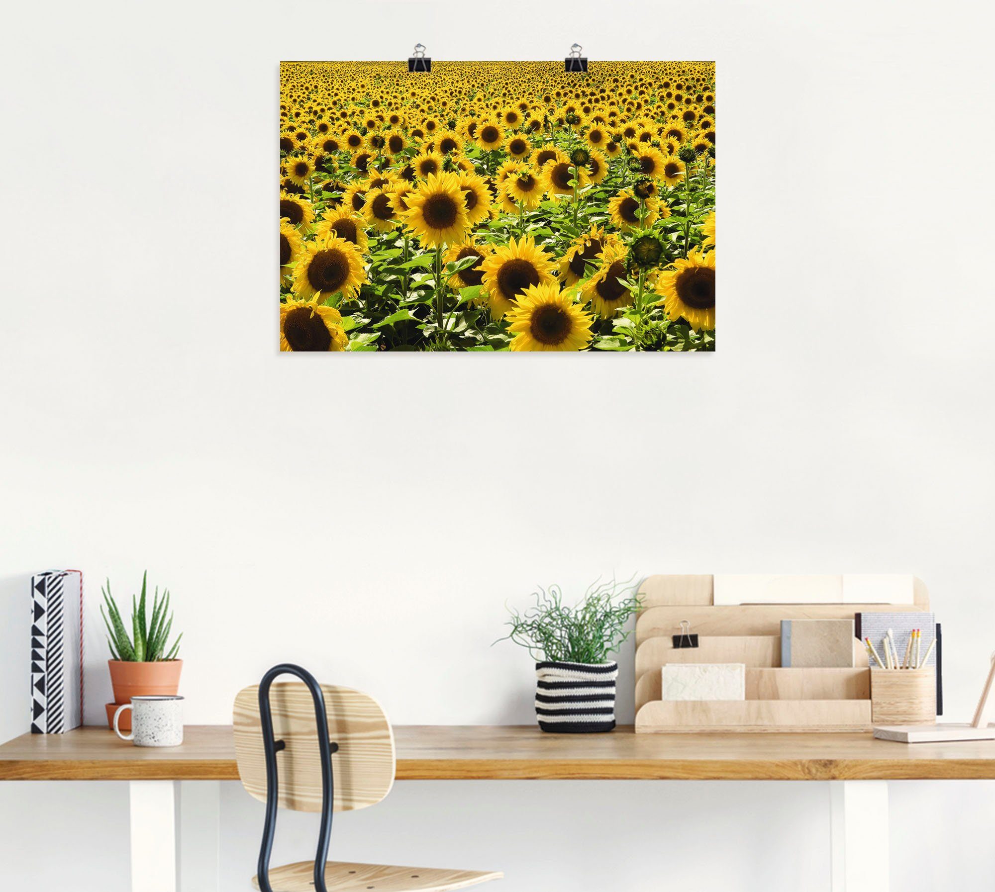 Artland Artprint Zonnebloemveld als artprint van aluminium, artprint voor buiten, artprint op linnen, poster in verschillende maten. maten