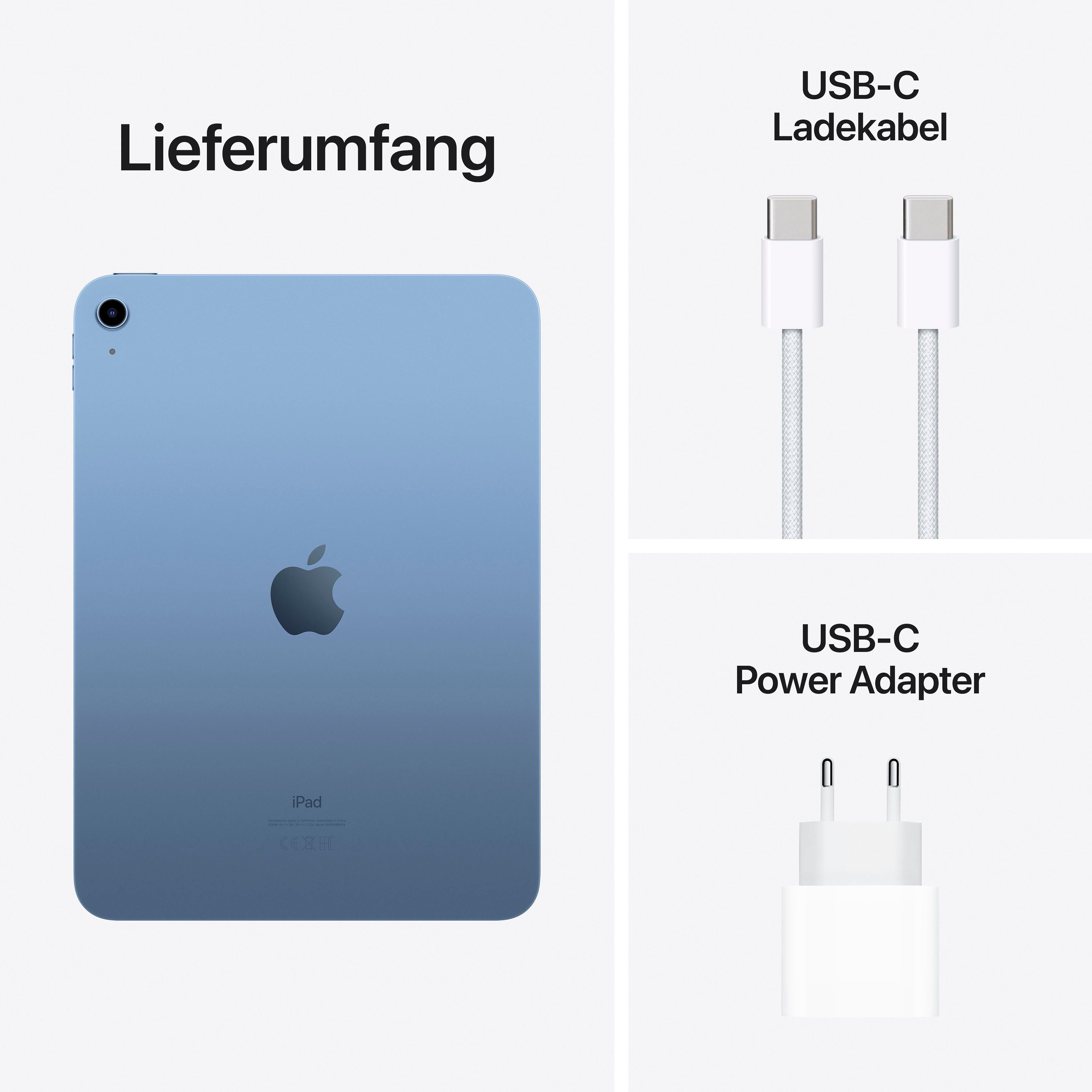 Apple Tablet iPad Wi-Fi 10e Generation inclusief Poweradapter, 10,9", iPadOS