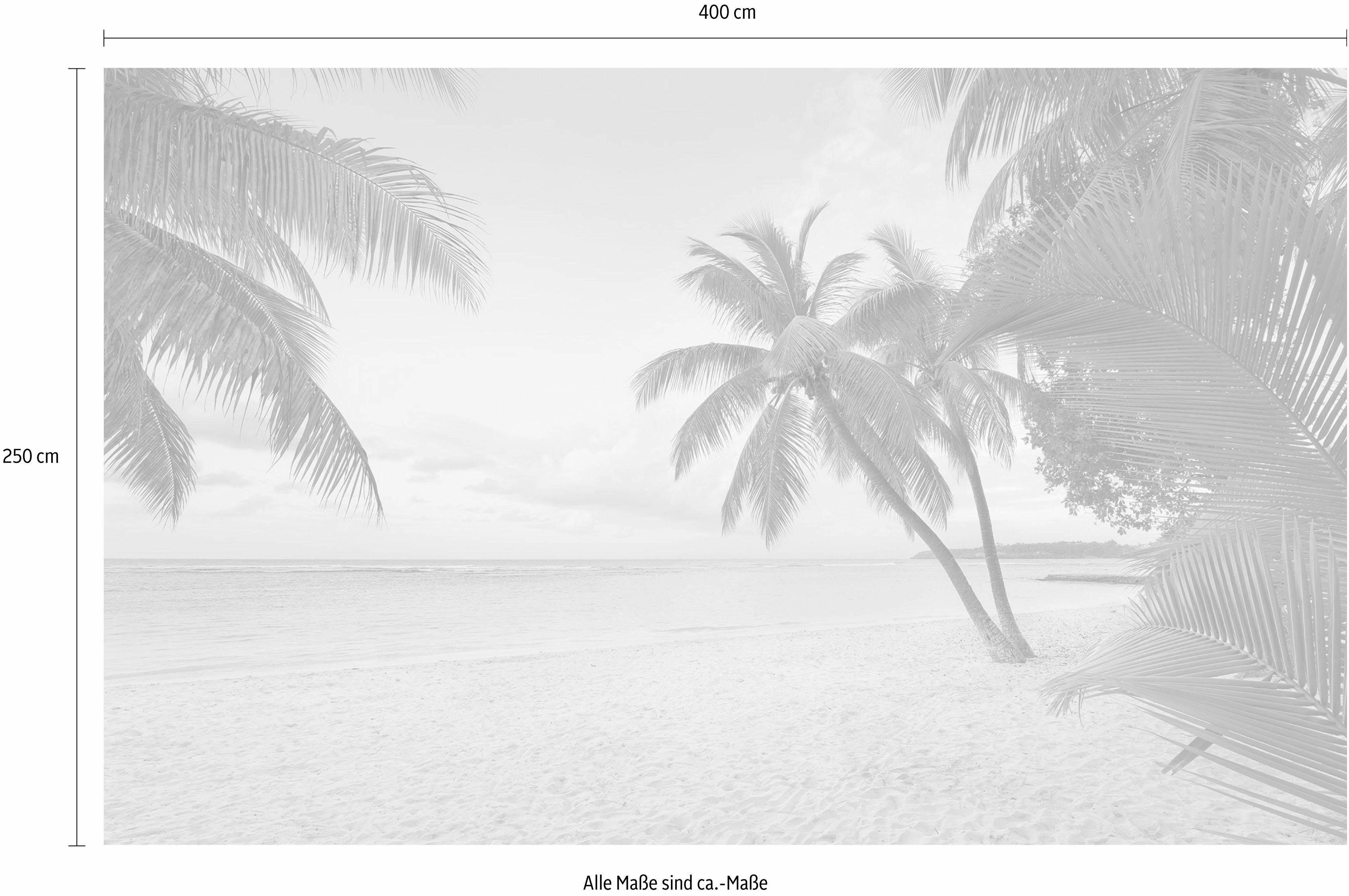 Komar Vliesbehang Digitale print vlies - Paradise Morning - Afmeting 400 x 250 cm (1 stuk)