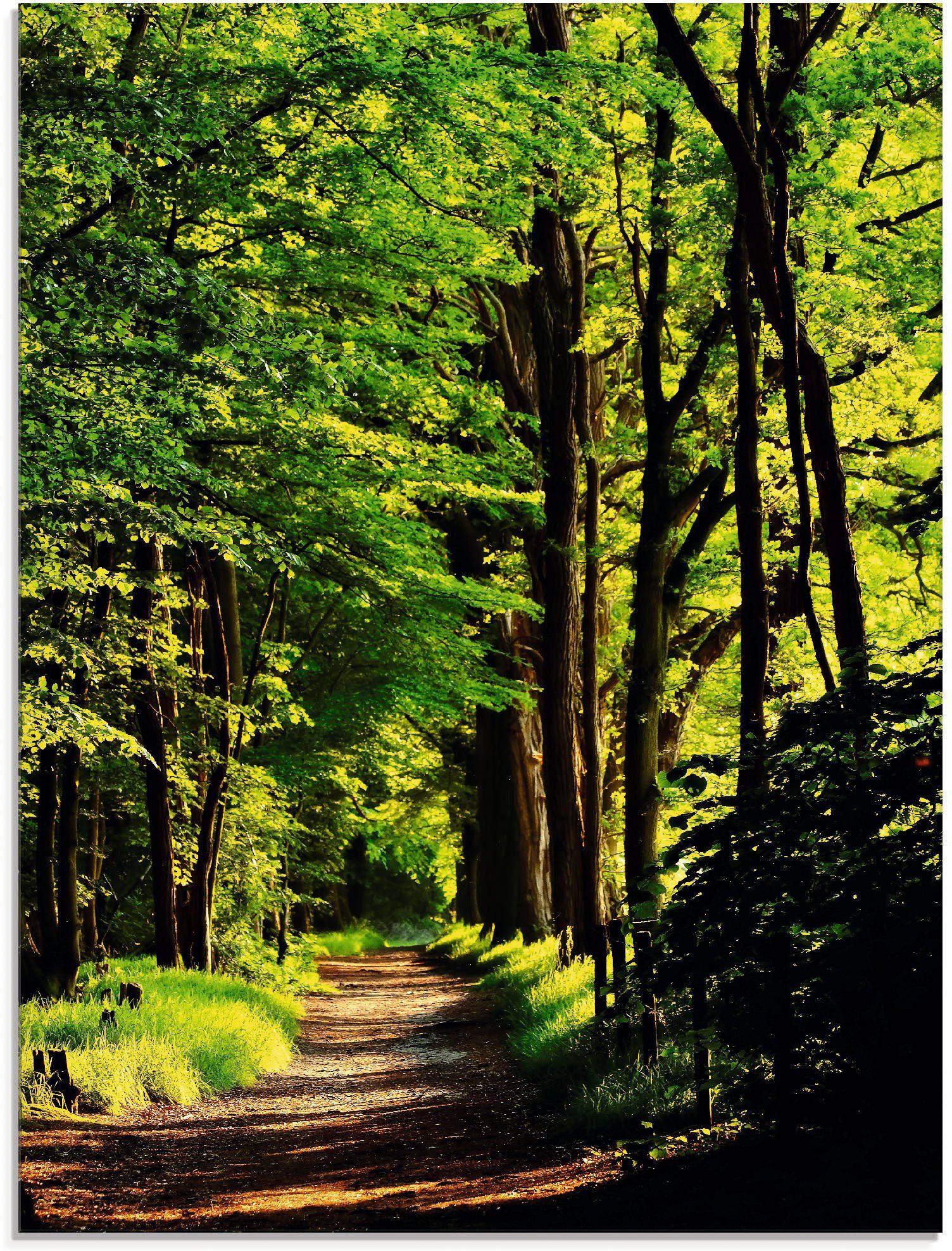 Artland Print op glas Weg in het bos (1 stuk)