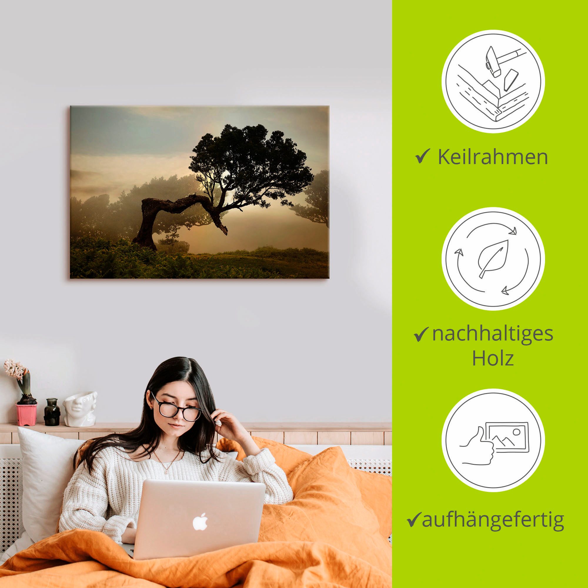 Artland Artprint Laurierboom als artprint van aluminium, artprint voor buiten, artprint op linnen, poster, muursticker