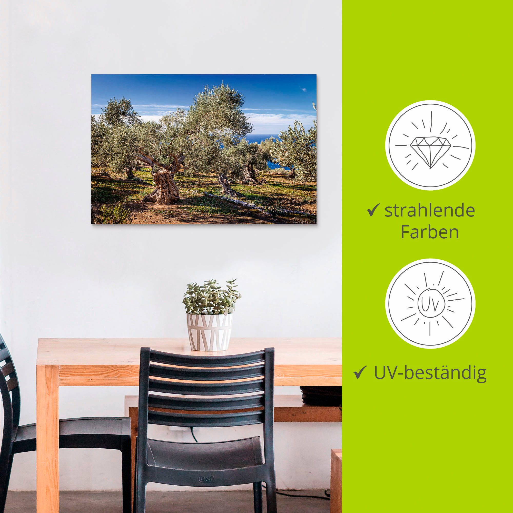 Artland Artprint Olijfgaard in de Serra de Tramuntana als artprint van aluminium, artprint voor buiten, artprint op linnen, poster in verschillende maten. maten